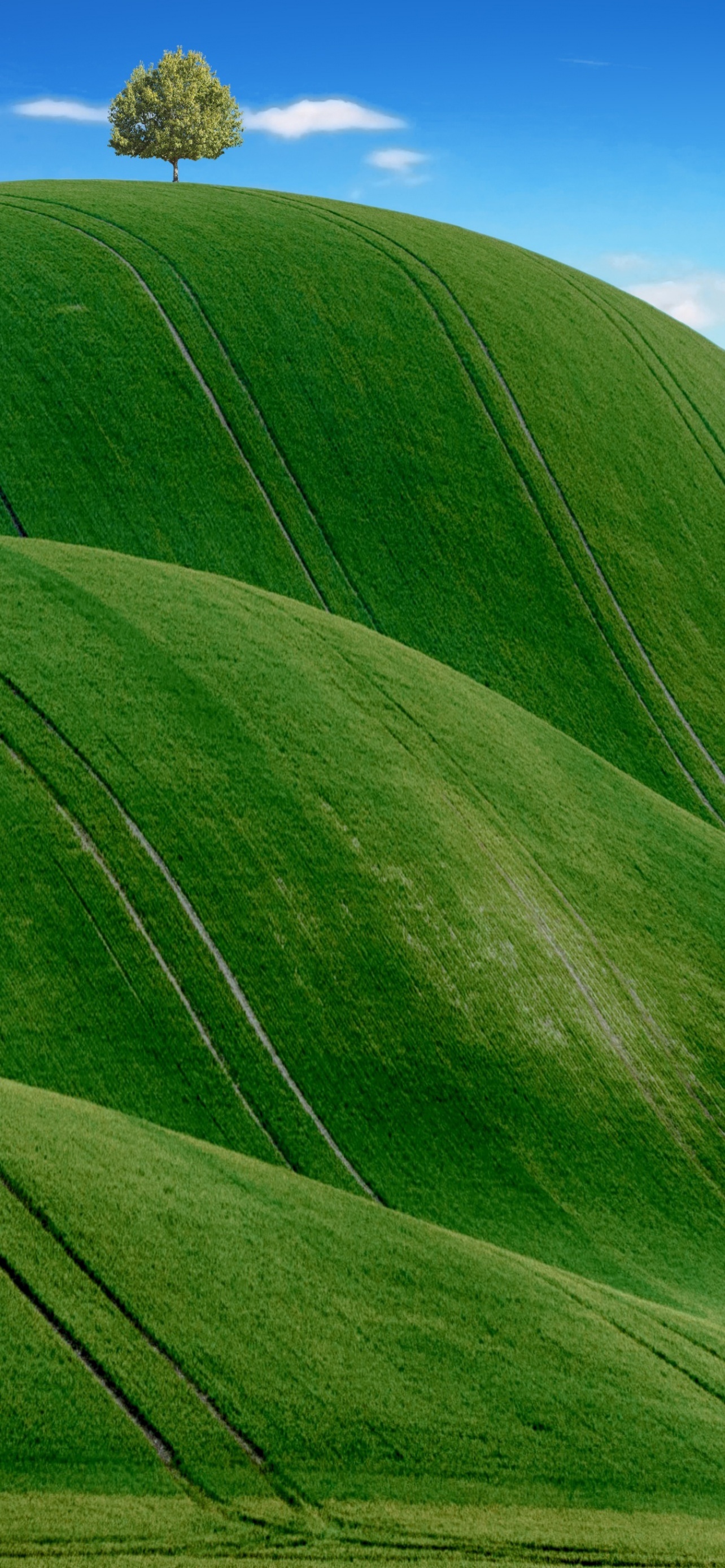 Meadow scenery, Rural beauty, Awe-inspiring hills, Clear blue sky, 1290x2780 HD Phone