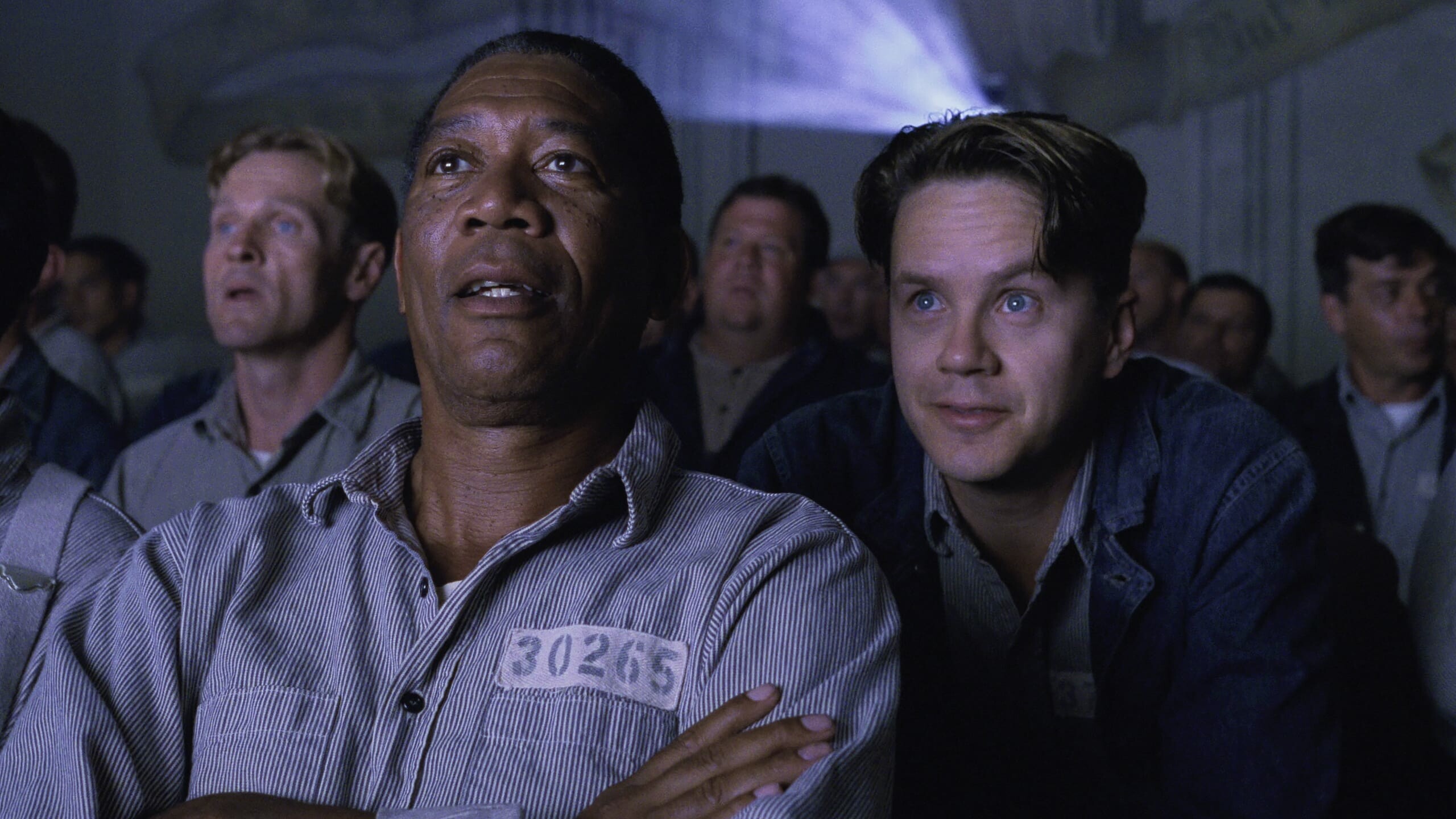 Movie database, IMDb rating, Shawshank Redemption review, Movie information, 2560x1440 HD Desktop