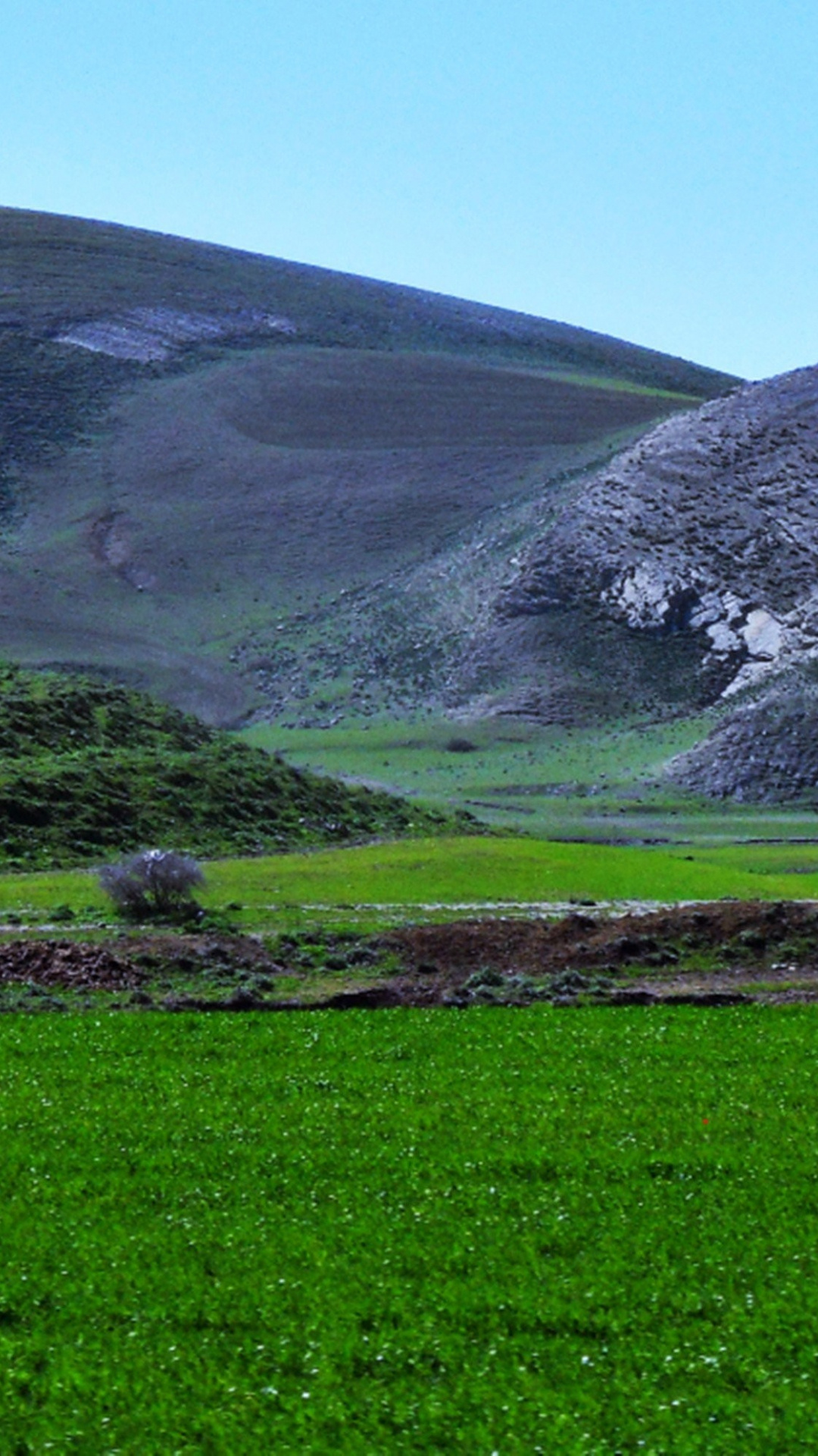 Fields windows wallpapers, Amazigh north mountains, 1080x1920 Full HD Phone