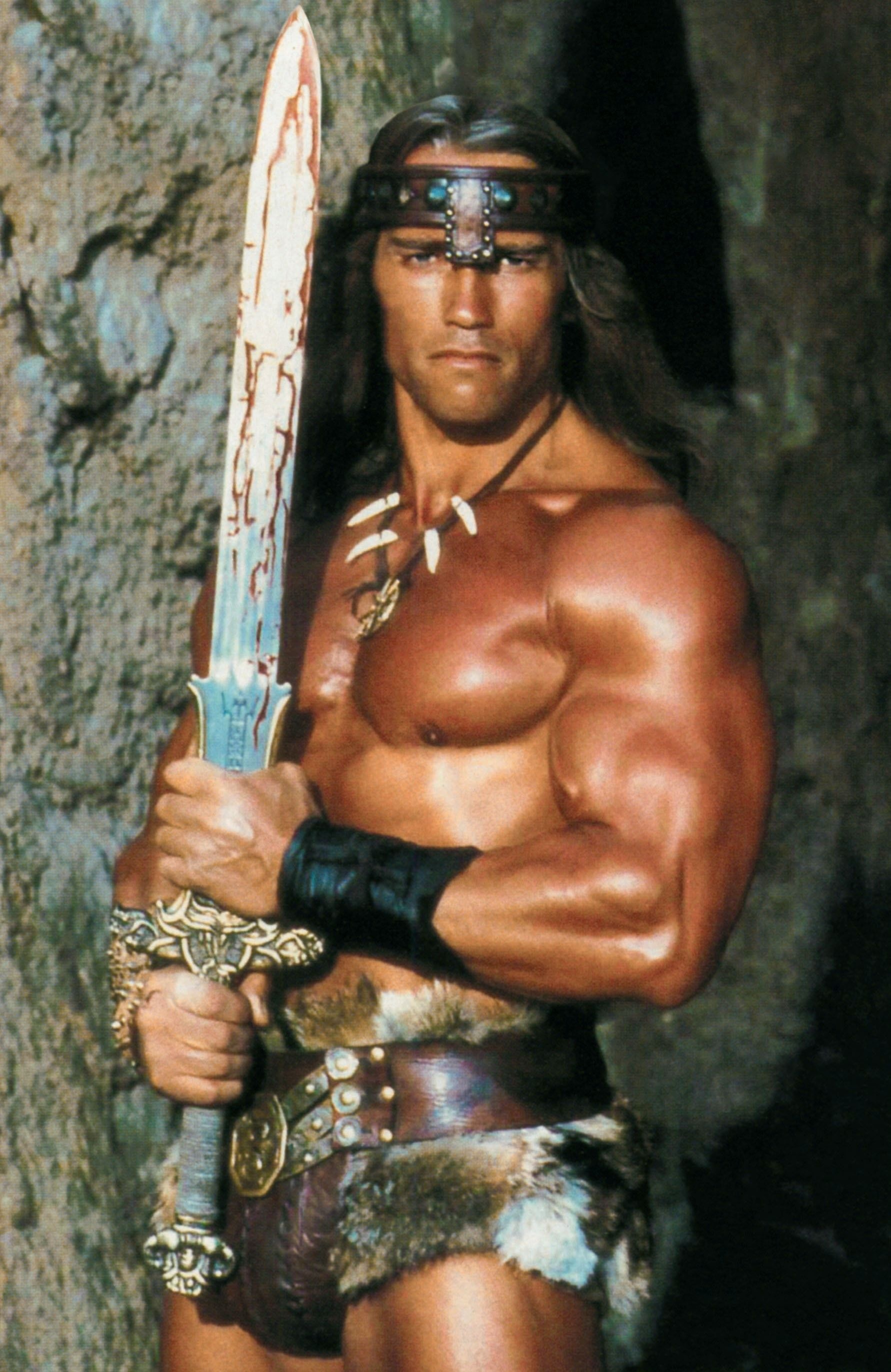 Arnold Schwarzenegger, Conan the Barbarian, Legendary hero, Iconic role, 1790x2750 HD Phone