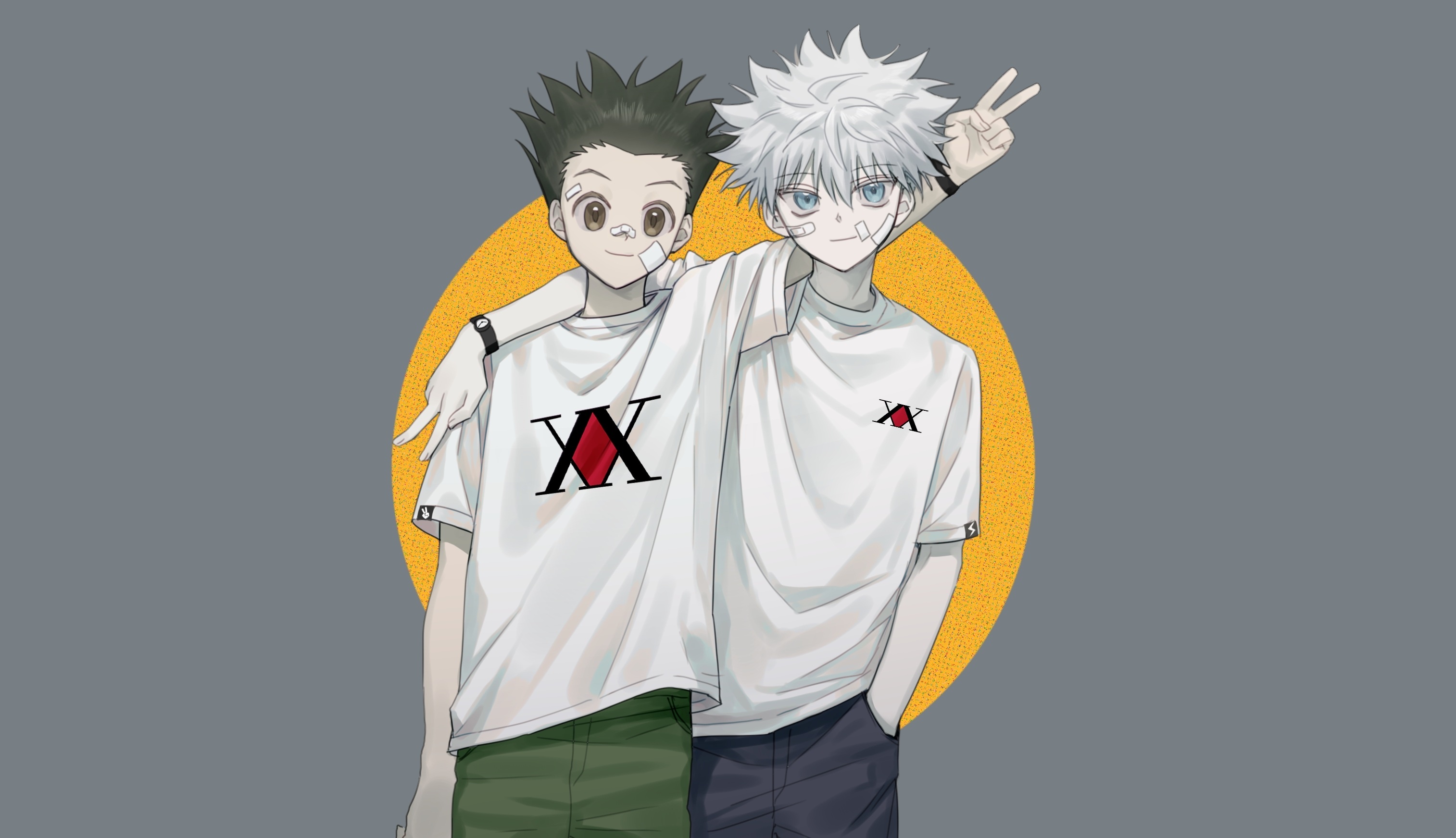 Hunter x Hunter, HD wallpaper, Background image, 3030x1750 HD Desktop