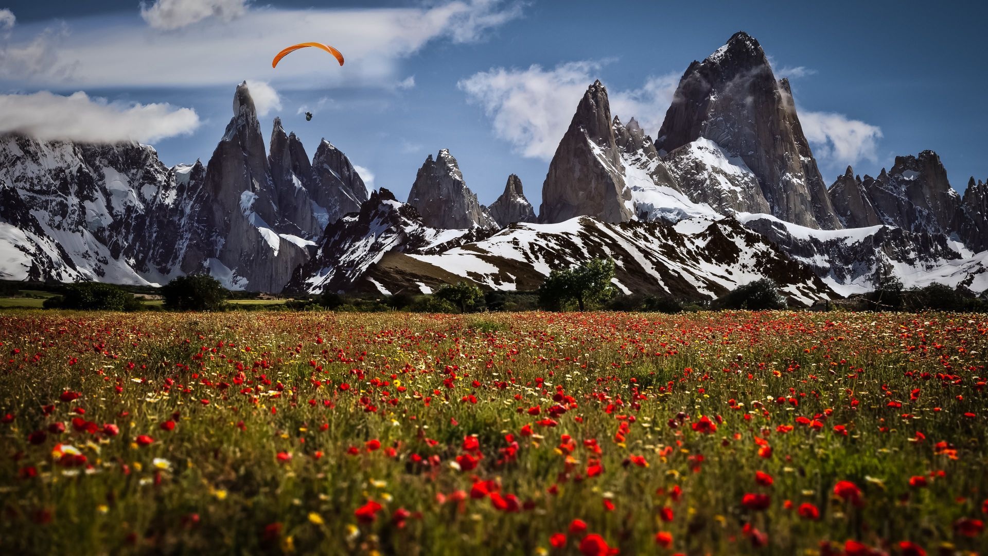 Uetliberg, Switzerland mountains, Poppy, Spring, 1920x1080 Full HD Desktop