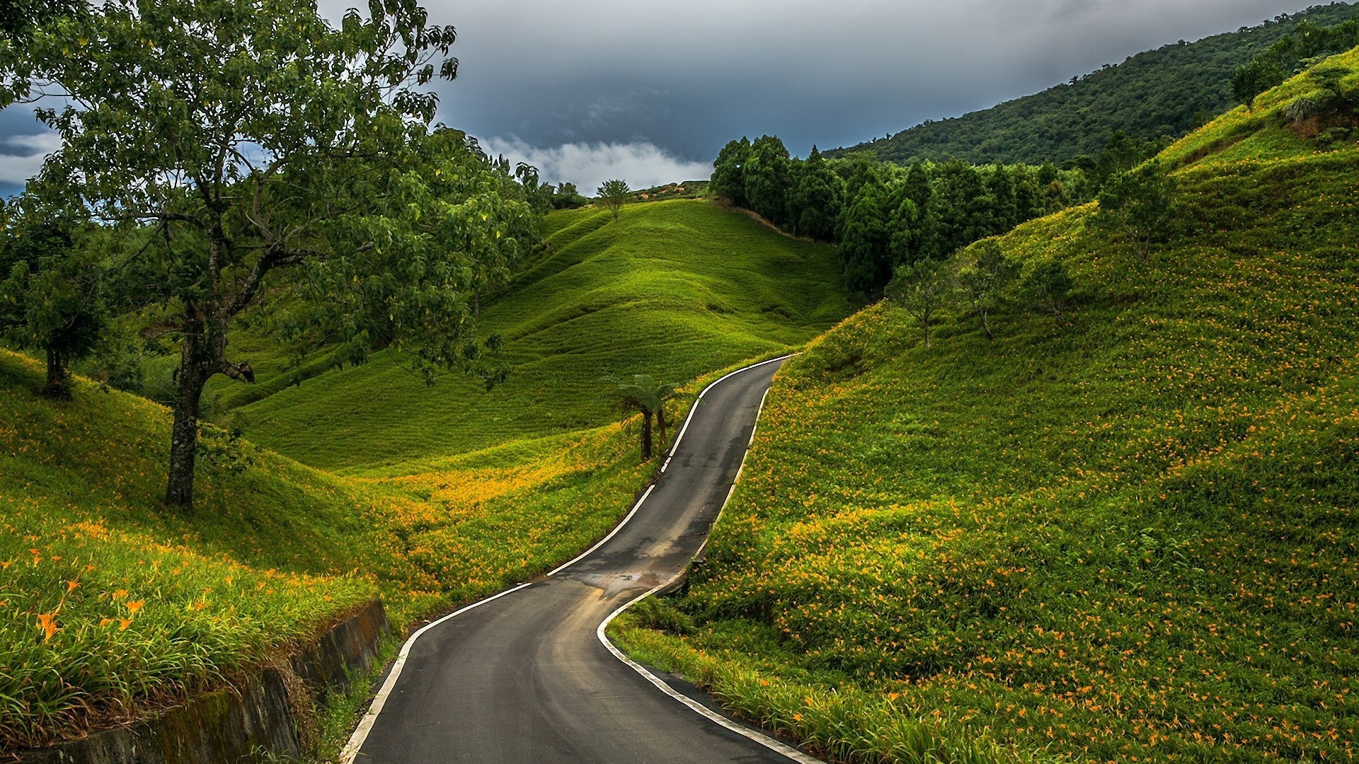 Country road, Nature's embrace, Tranquil beauty, Calm and serene, 1920x1080 Full HD Desktop