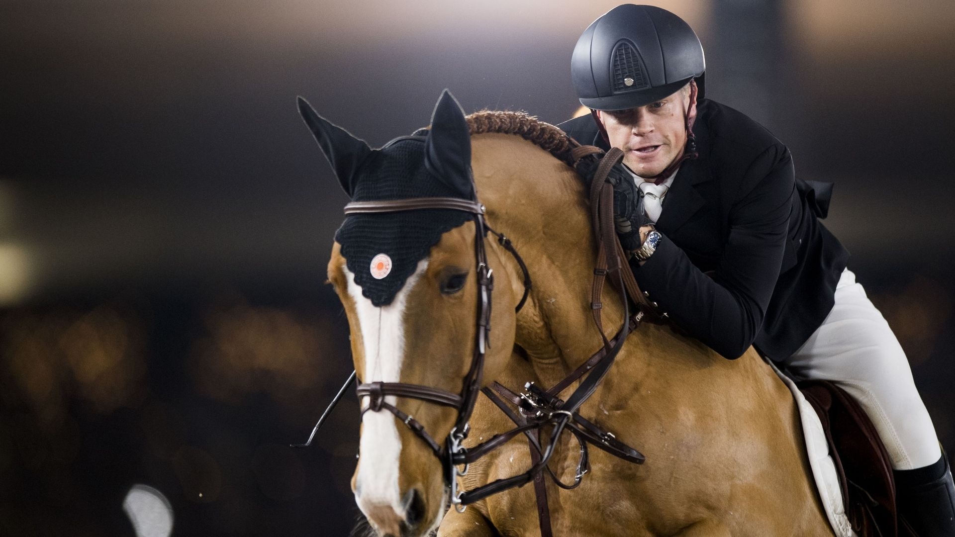 Jerome Guery, Equitation Wallpaper, 1920x1080 Full HD Desktop