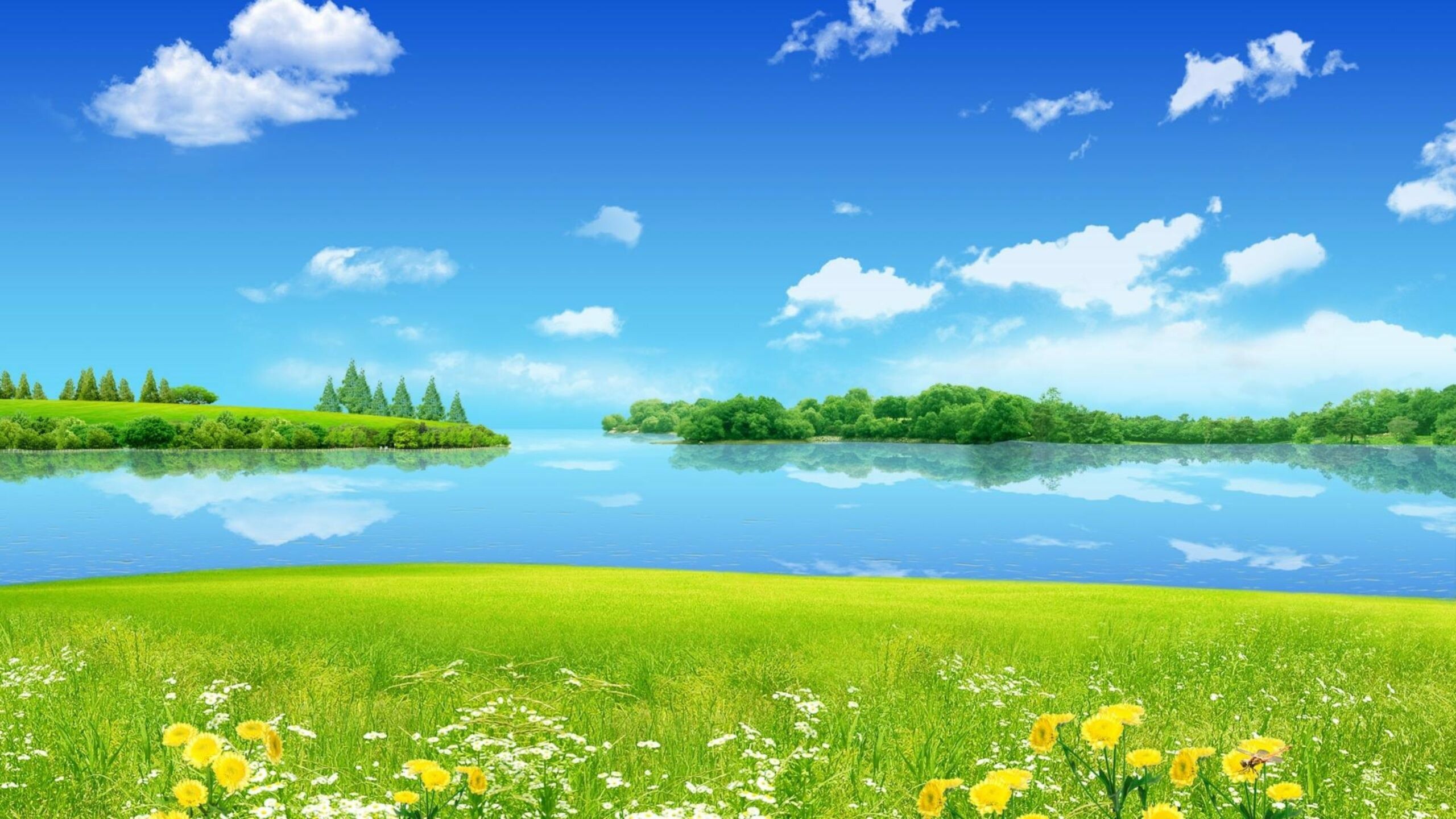 Simple summer 4K wallpaper, Minimalistic design, Stunning simplicity, Relaxing and calming, 2560x1440 HD Desktop