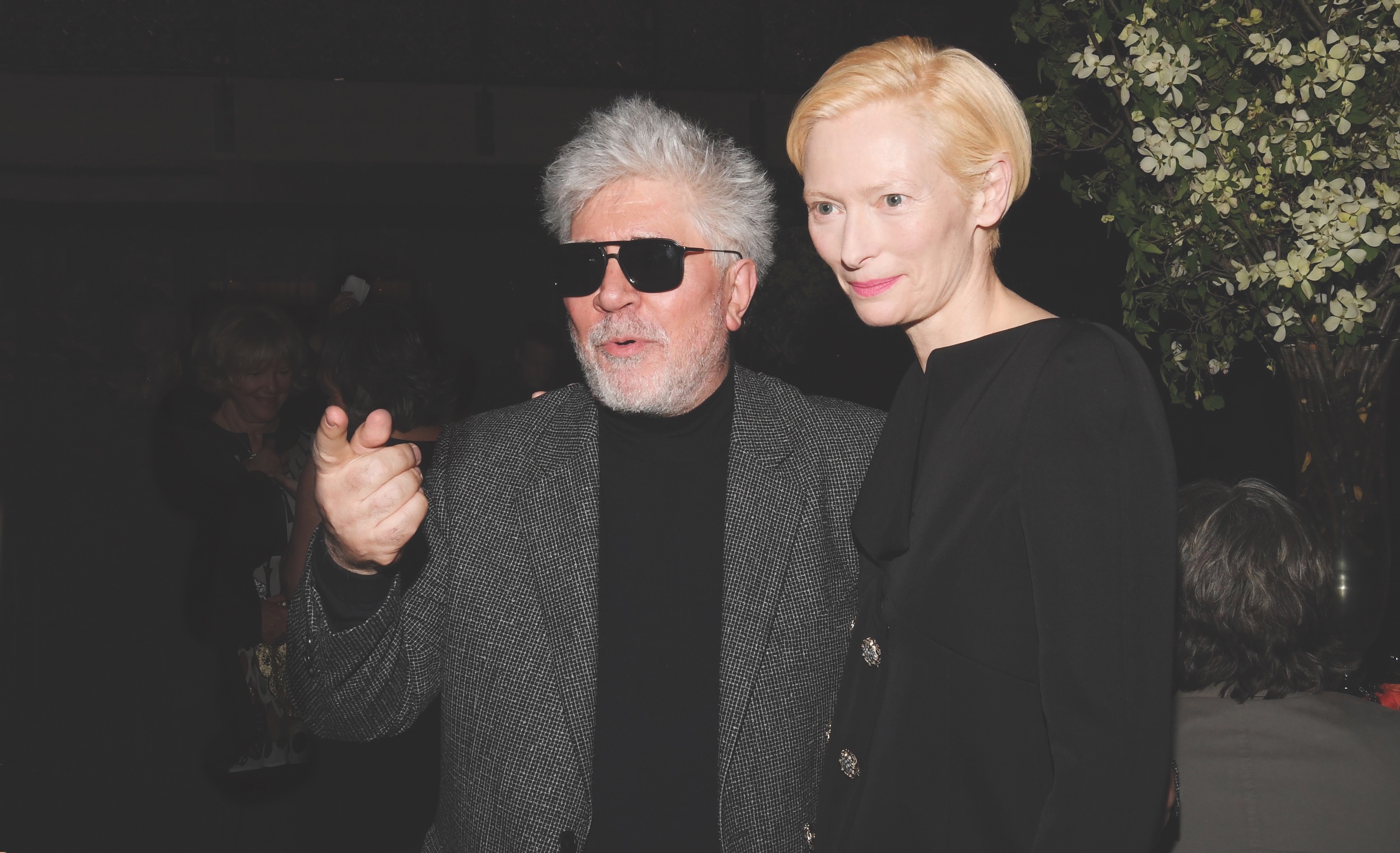 Pedro Almodovar, Tilda Swinton, First look, 3000x1830 HD Desktop