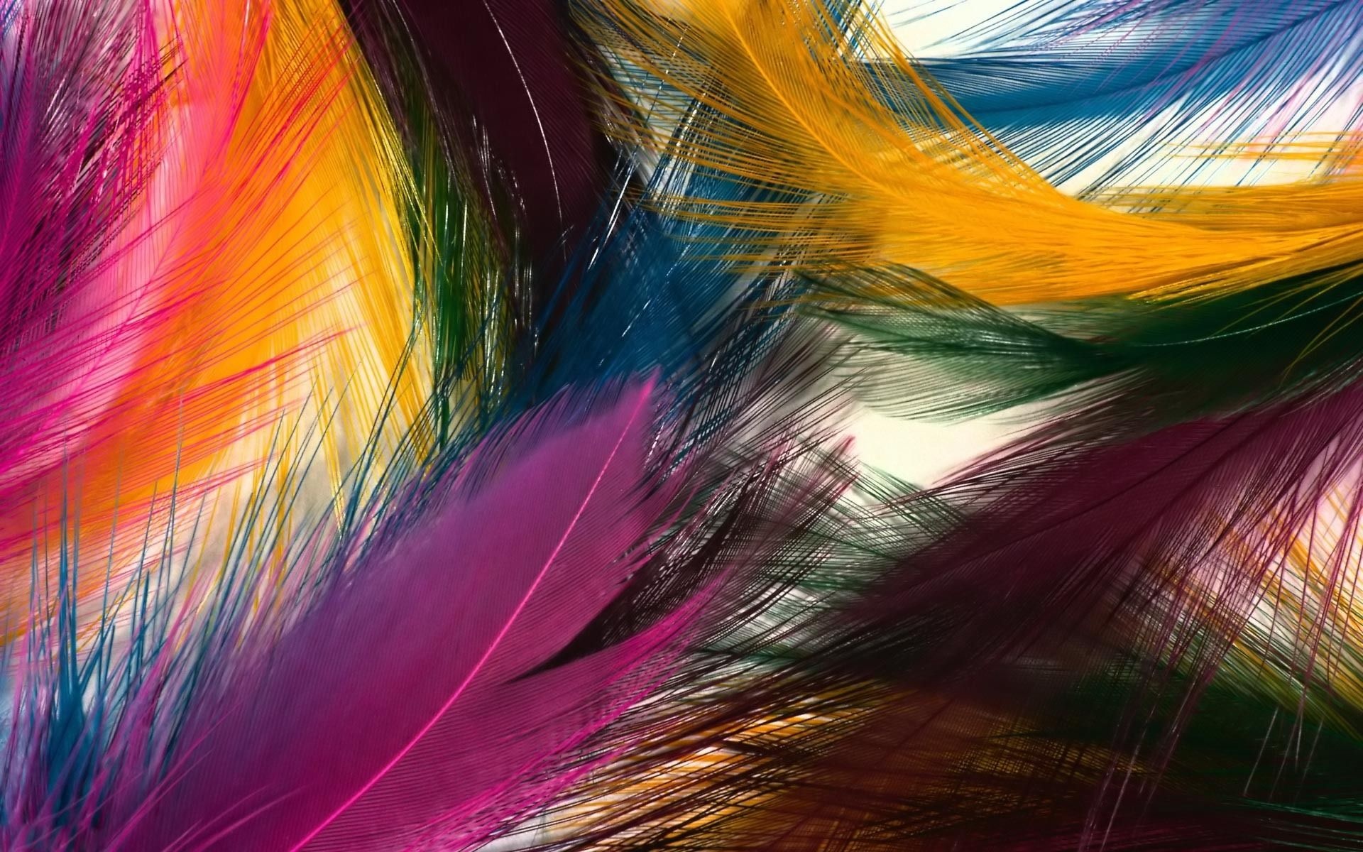 Feathers in flight, Feather patterns, Feather wallpapers, Natural beauty, 1920x1200 HD Desktop