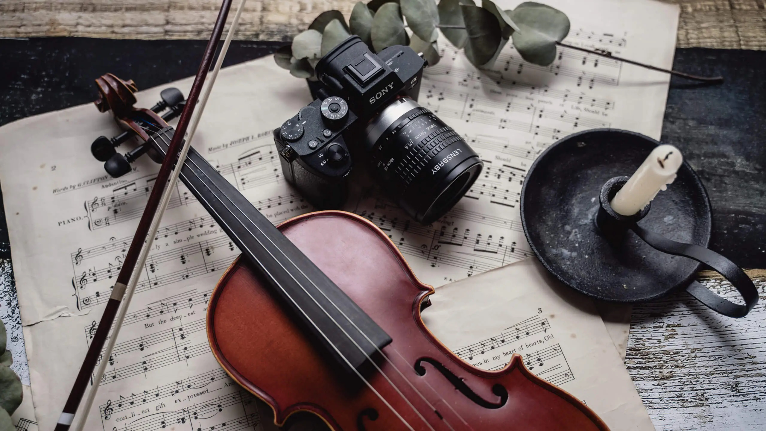 Viola music, Capturing the details, Photofocus, Musical artistry, 2560x1440 HD Desktop