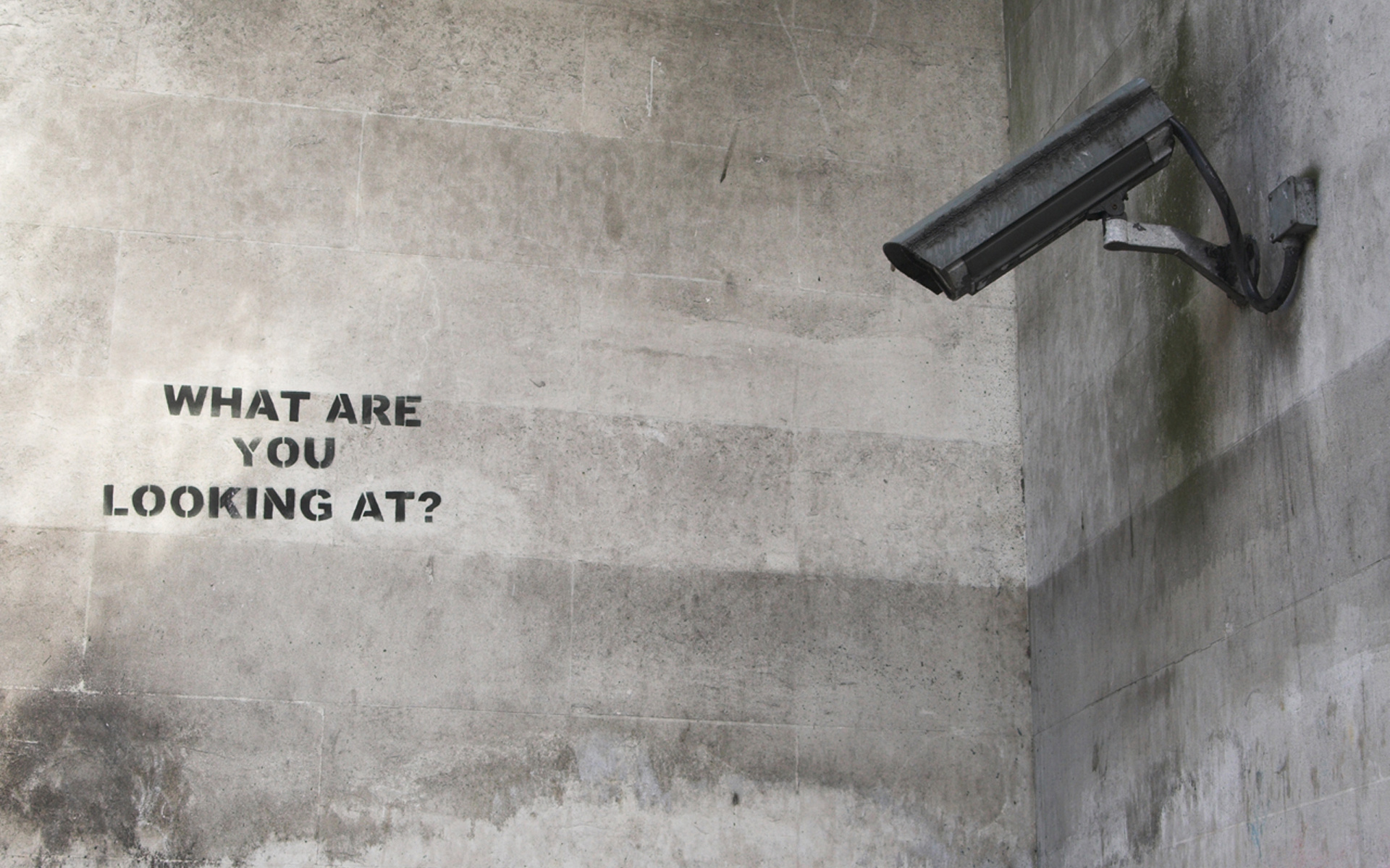 What Are You Looking At, Banksy Wallpaper, 1920x1200 HD Desktop