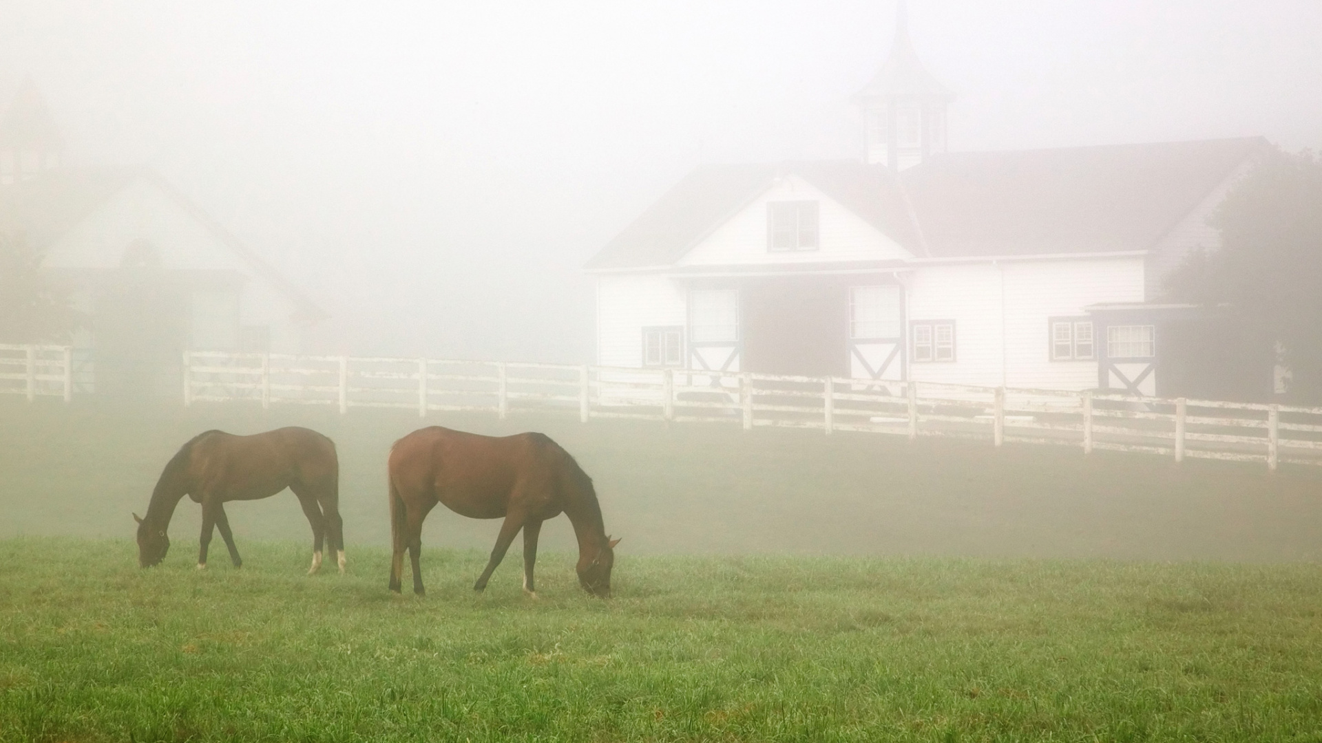 Lexington travels, Forget Louisville, Wallpaper stores, Kentucky destination, 1920x1080 Full HD Desktop