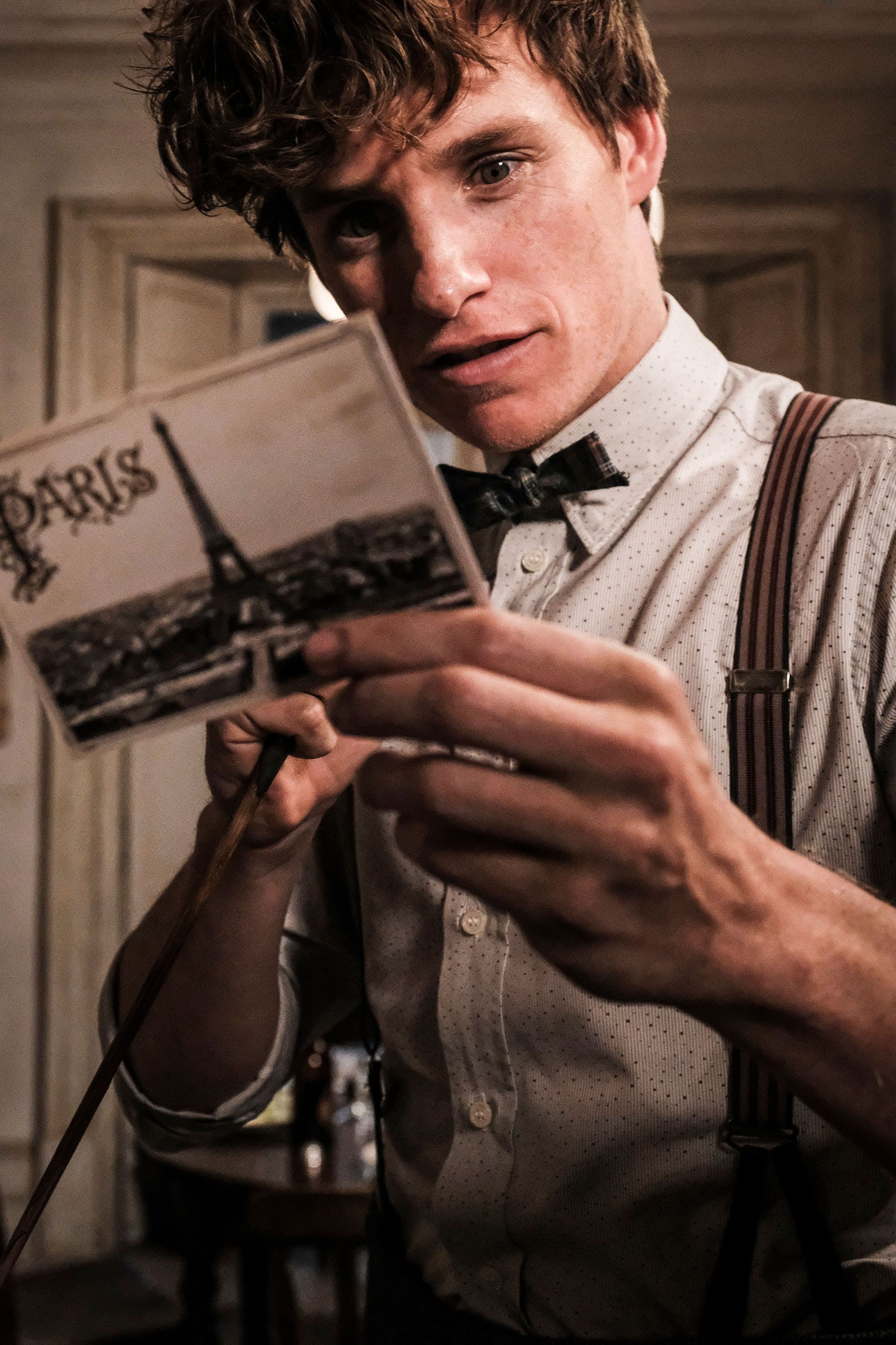 Eddie Redmayne, Newt Scamander, Autism spectrum, 2000x3000 HD Phone