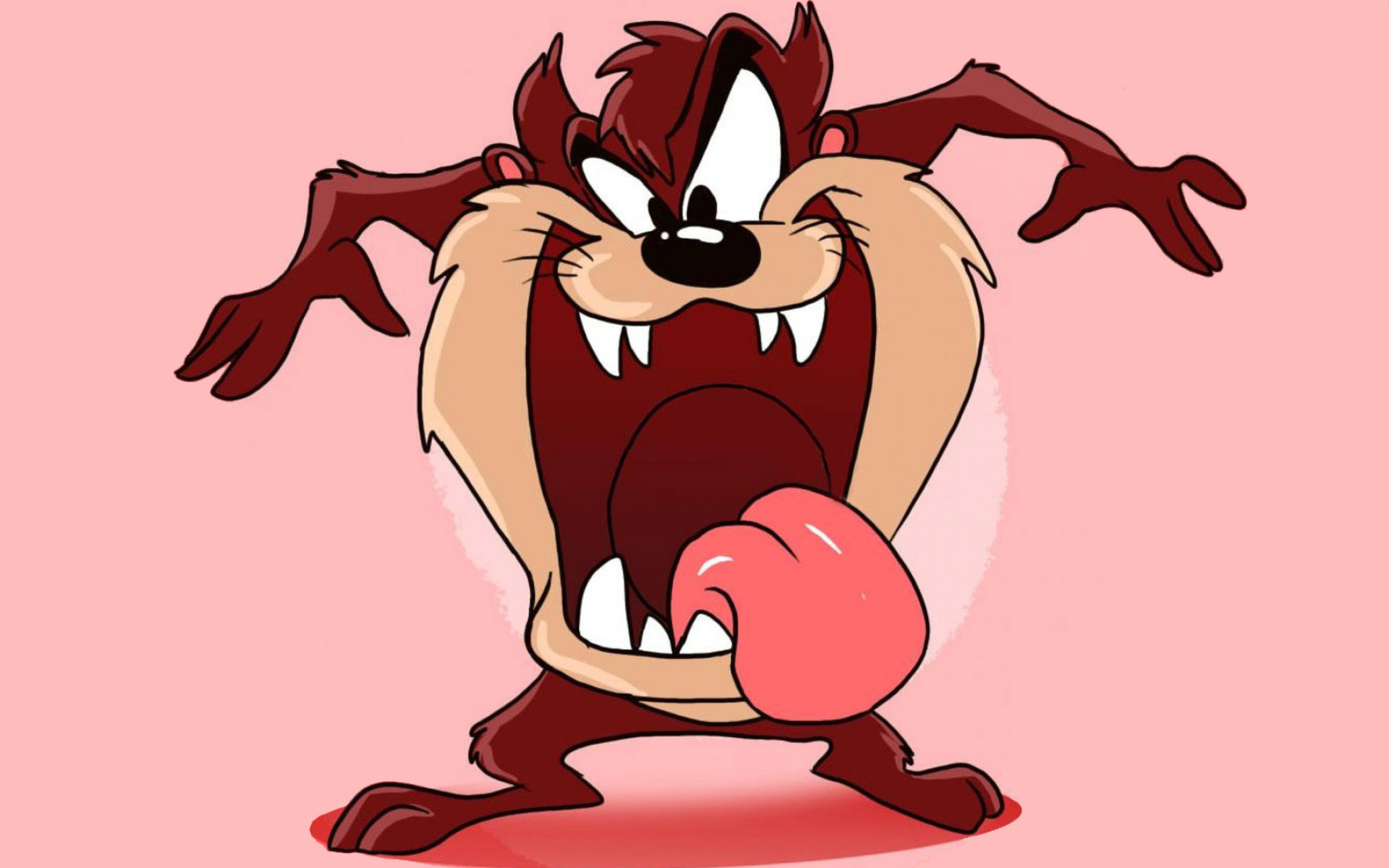 Tasmanian Devil cartoon, Animated wallpaper, 1920x1200 HD Desktop