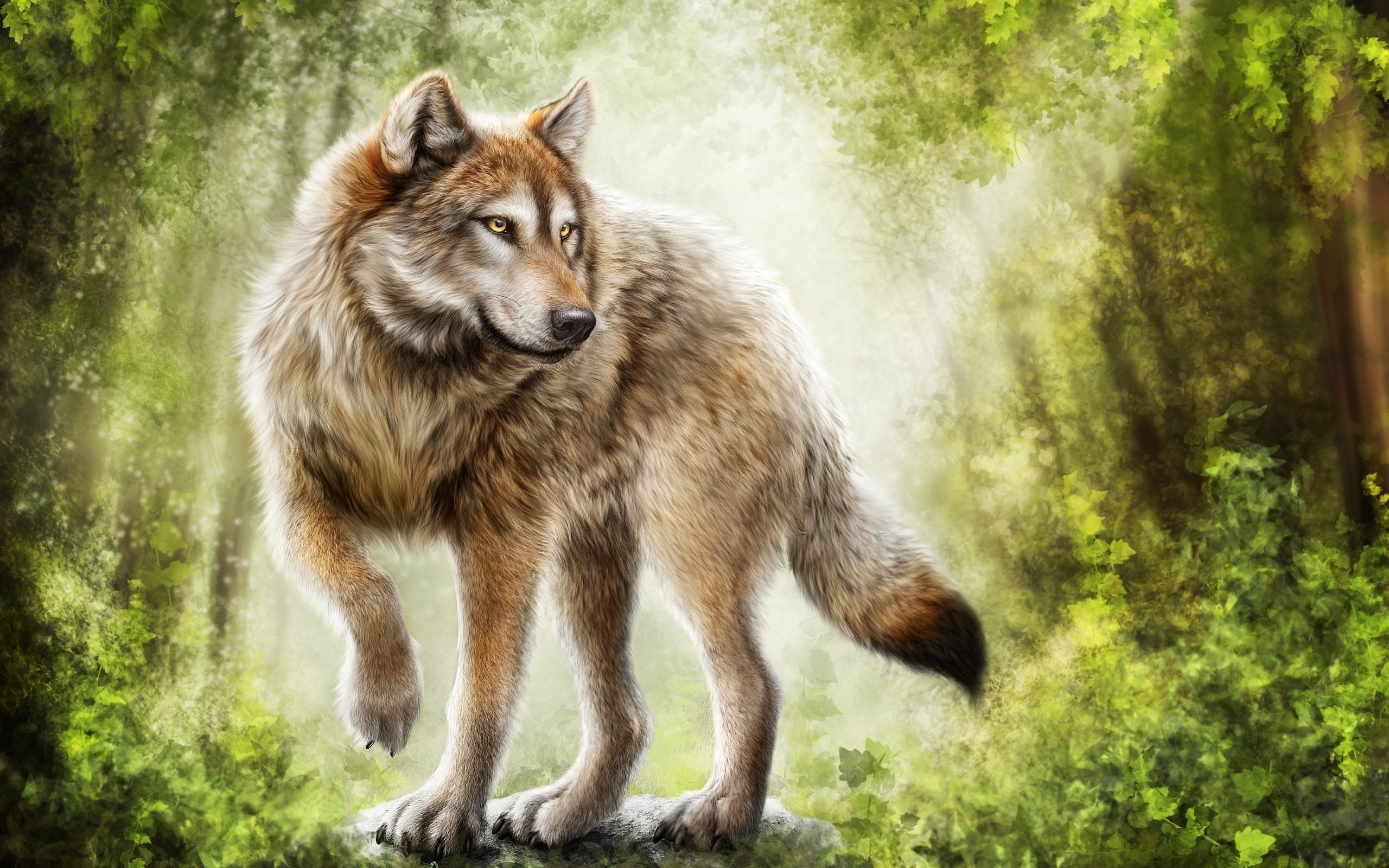 Gray Wolf, Wolves painting wallpapers, Top free, Backgrounds, 2560x1600 HD Desktop