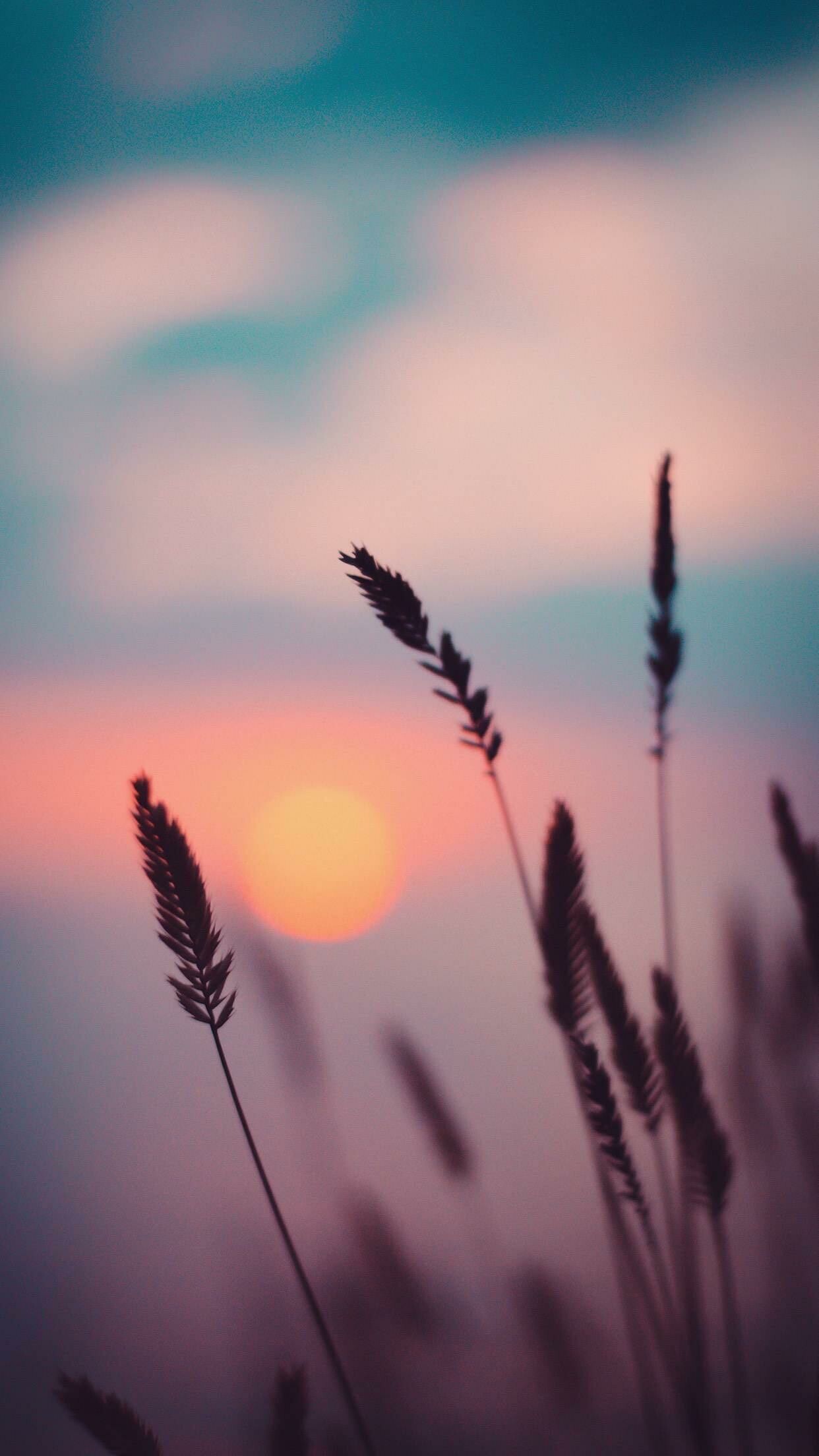 Sunset wallpaper, iPhone backgrounds, Relaxing vibe, Breathtaking view, 1250x2210 HD Phone