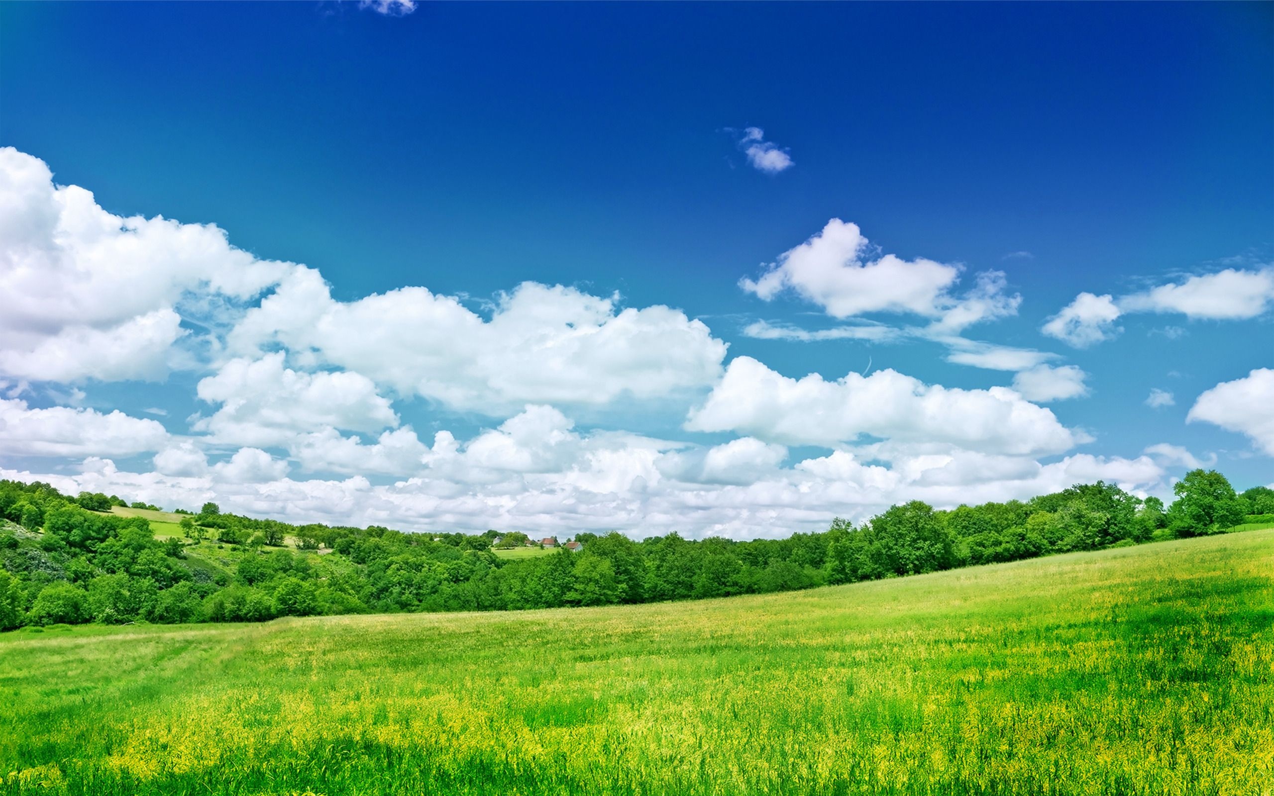 Field sky wallpapers, Picturesque scenery, Open fields, Majestic skies, 2560x1600 HD Desktop