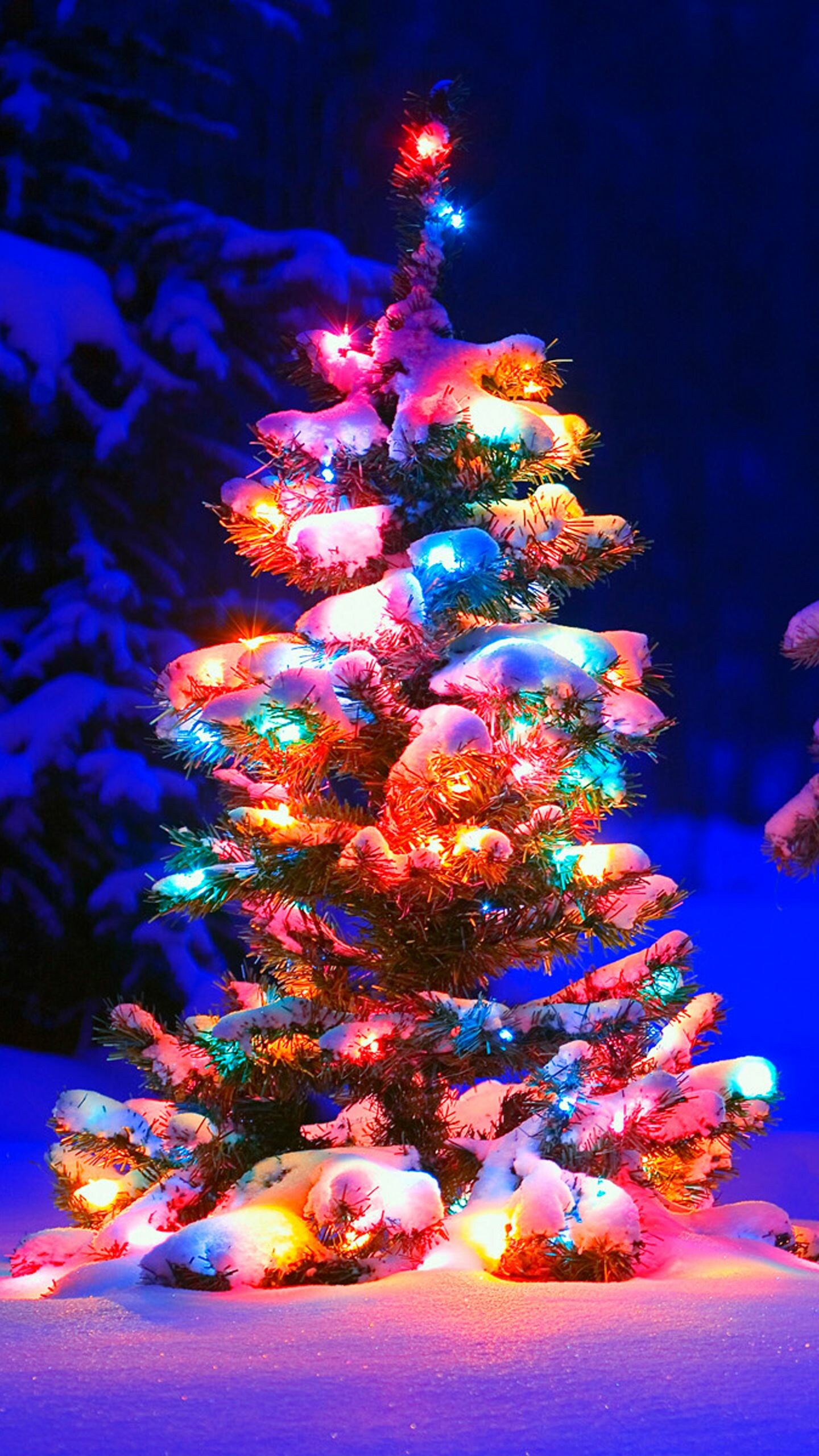 Christmas tree, Trees Wallpaper, 1440x2560 HD Phone