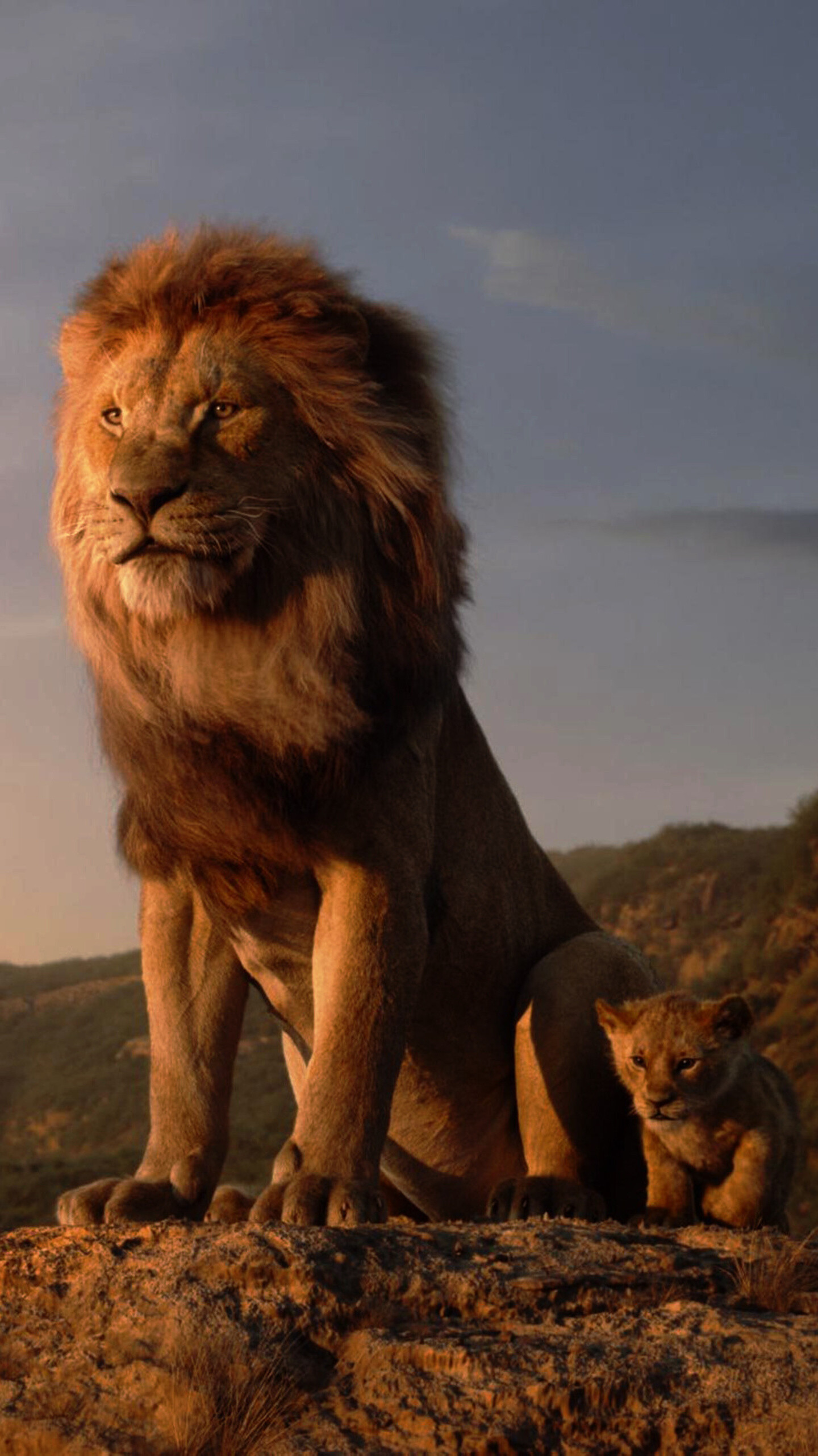 The Lion King 2019, Samsung Galaxy S6, 1440x2560 HD Phone