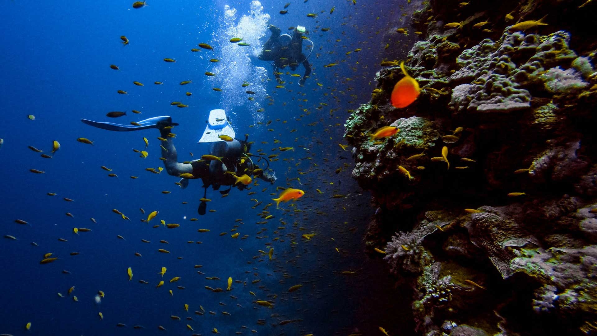 Go diving, Social diving community, Underwater adventure, Dive enthusiasts, 1920x1080 Full HD Desktop