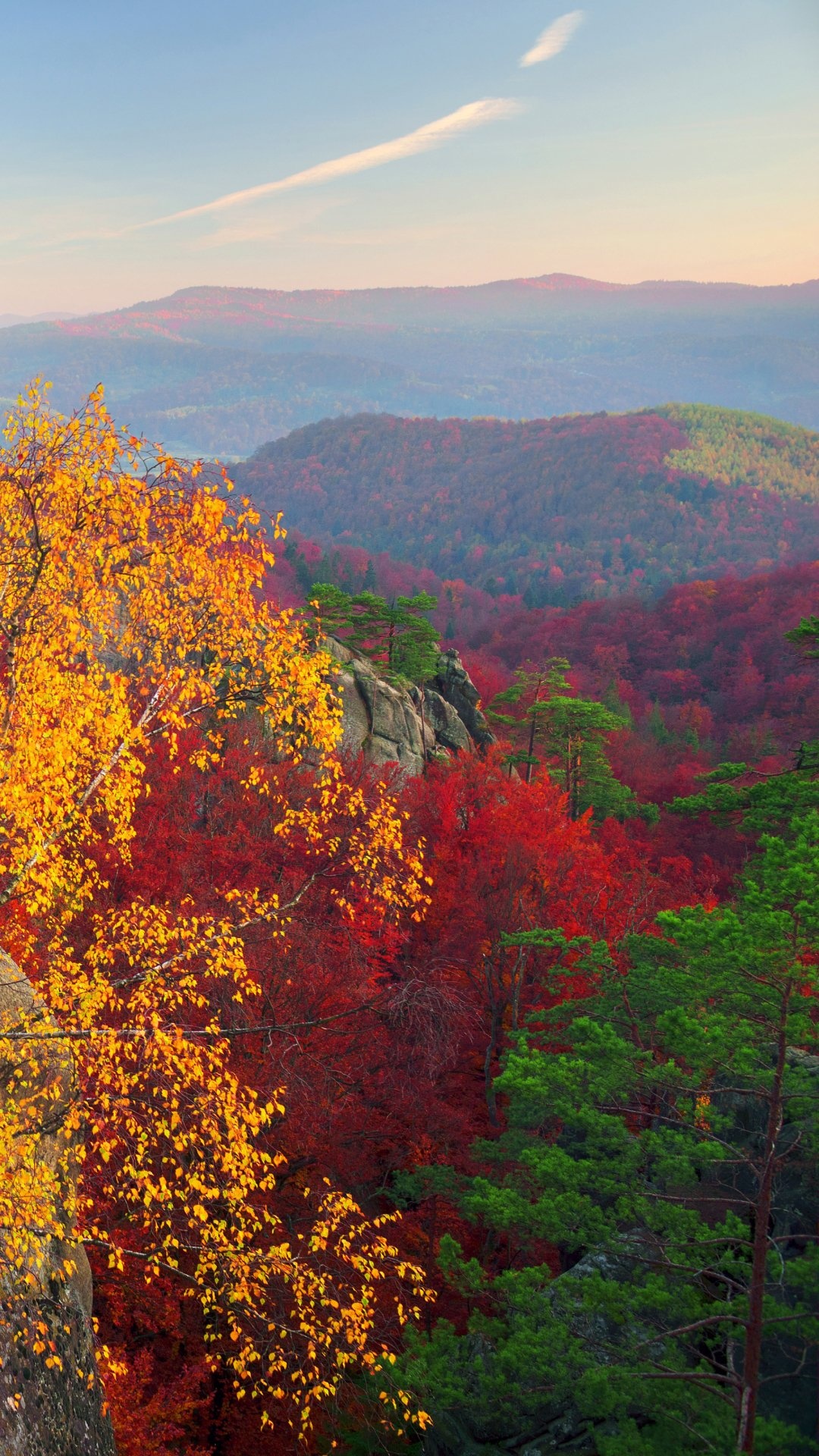 Arkansas fall scenery, Earth tones, Natural wonders, Autumn vibes, 1080x1920 Full HD Phone