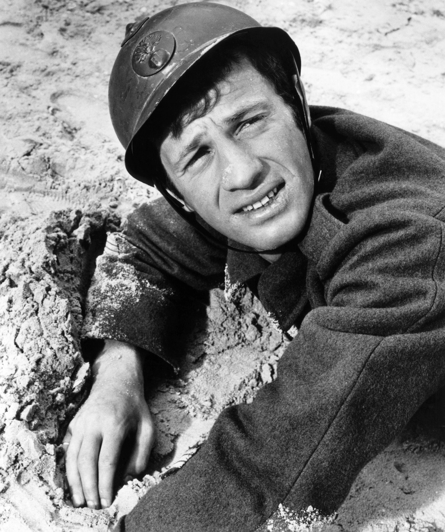 Jean-Paul Belmondo ideas, Bebel Jean Paul Belmondo, 1850x2200 HD Phone