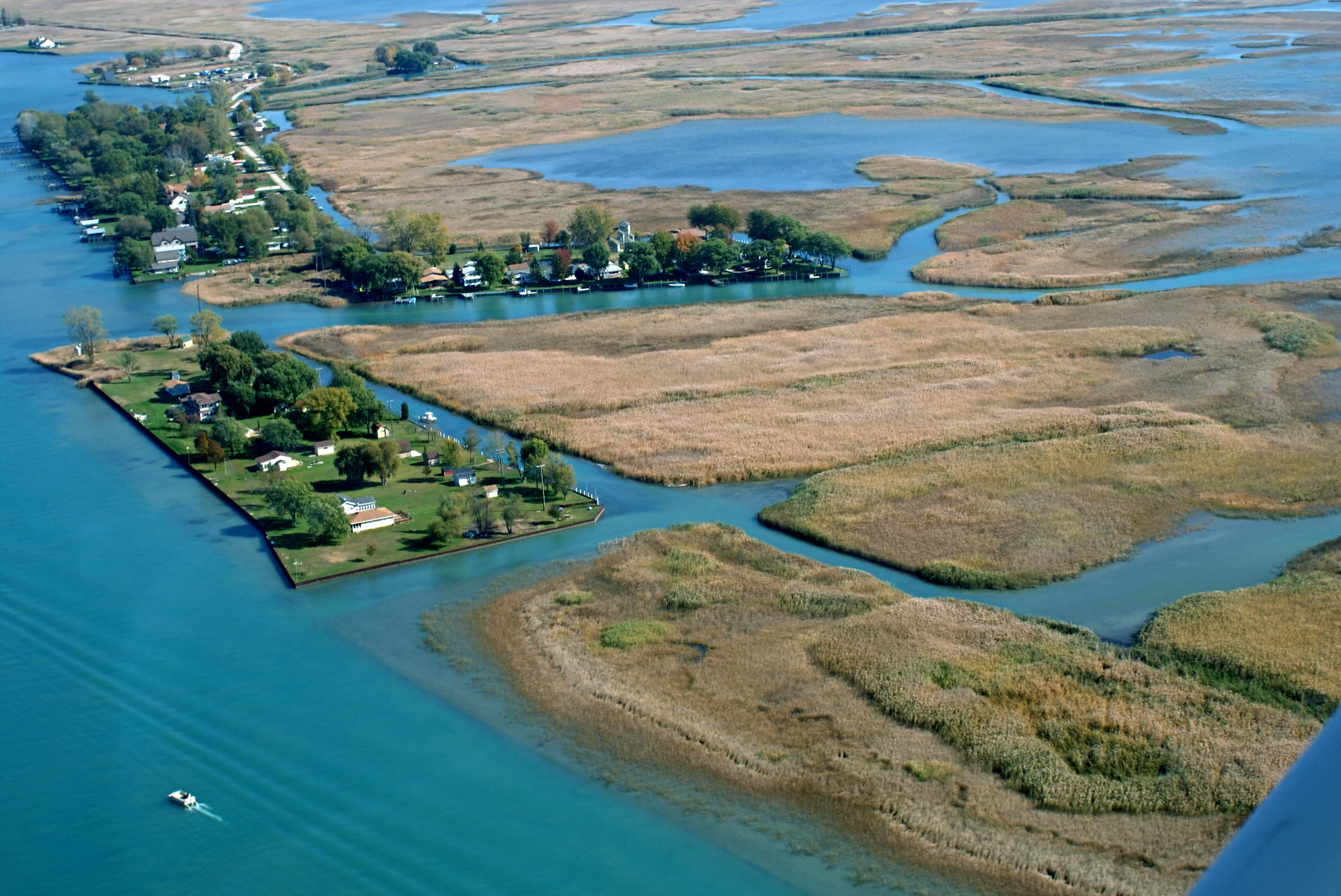 Lake Saint Clair, Regional cooperation, Phragmites management, Great Lakes collaboration, 2610x1750 HD Desktop