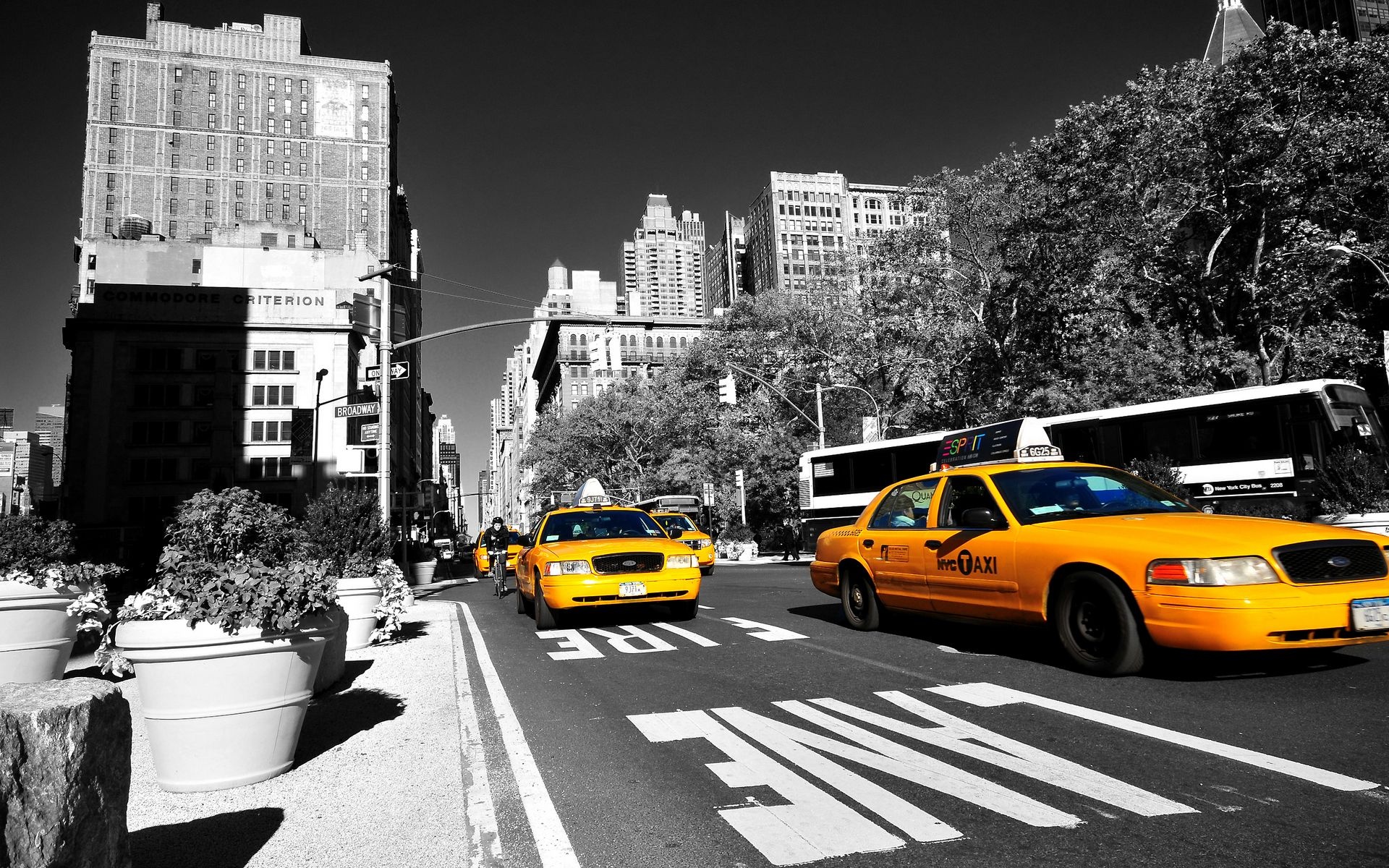 New York City, Yellow cab, Web, Wallpaper, 1920x1200 HD Desktop