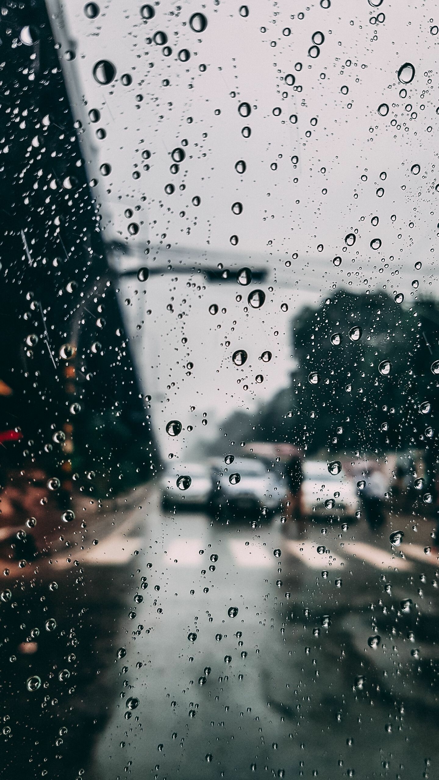 Drops, Rain Wallpaper, 1440x2560 HD Phone