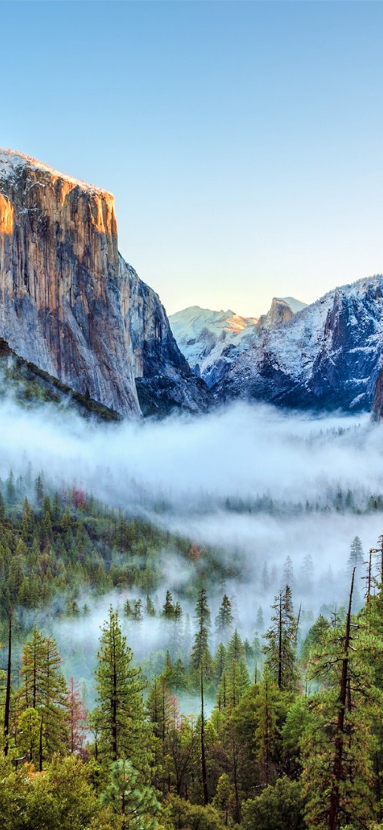 Yosemite National Park, Geography Wallpaper, 1290x2780 HD Phone