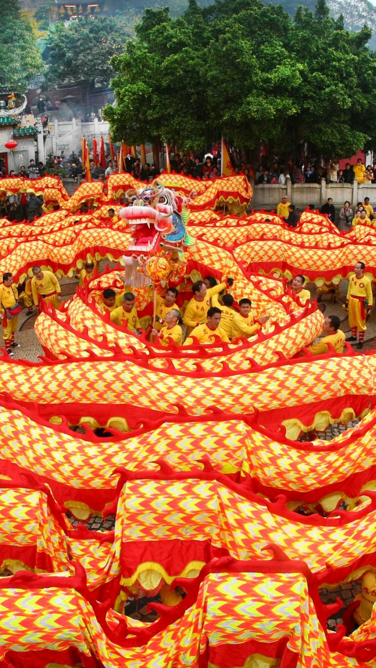 Wallpaper Chinese New Year, Spring festival, Dragon, Festive holidays, 1440x2560 HD Phone