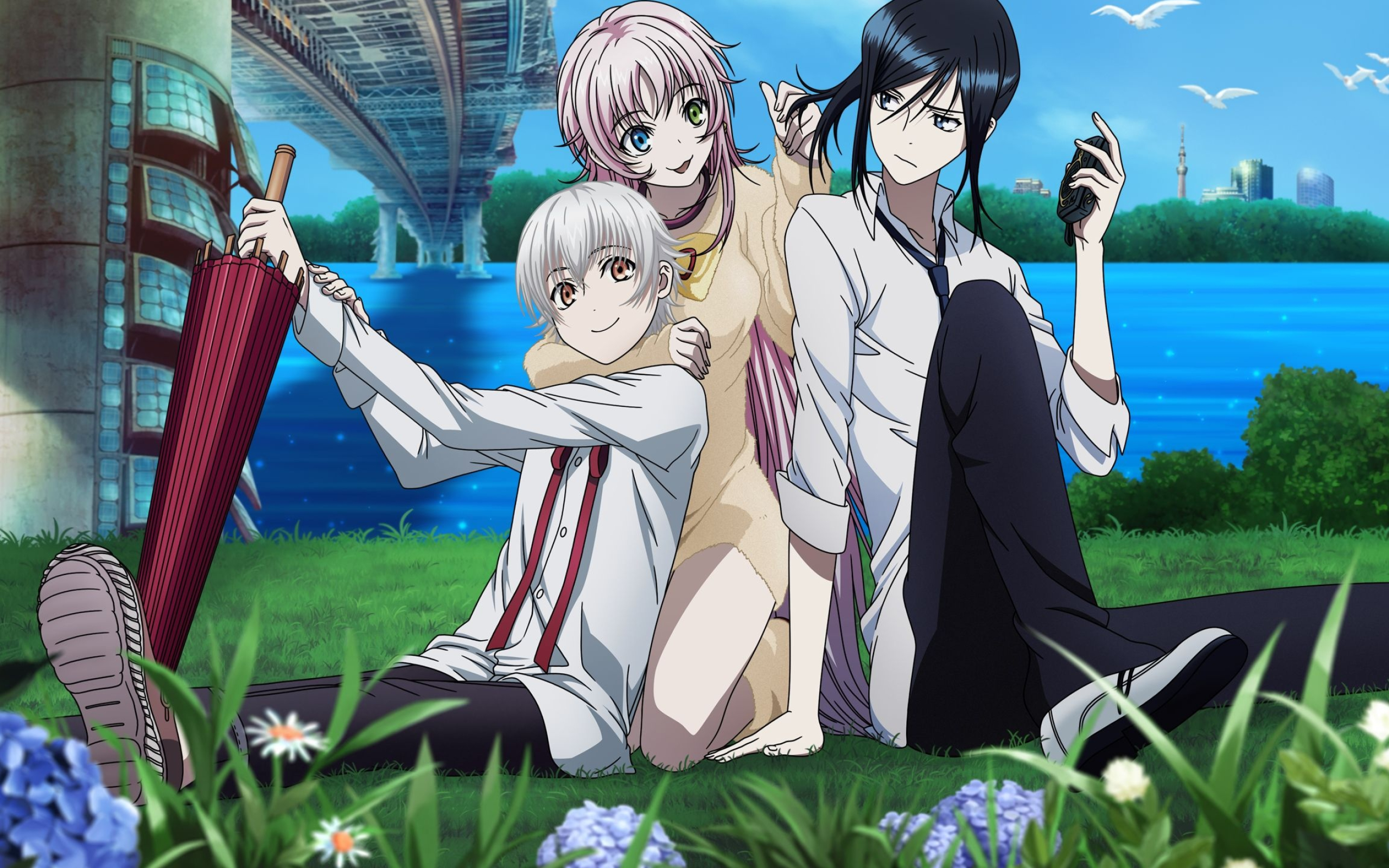 K Project, Yashiro Isana, Neko, Kuroh Yatogami, 2560x1600 HD Desktop