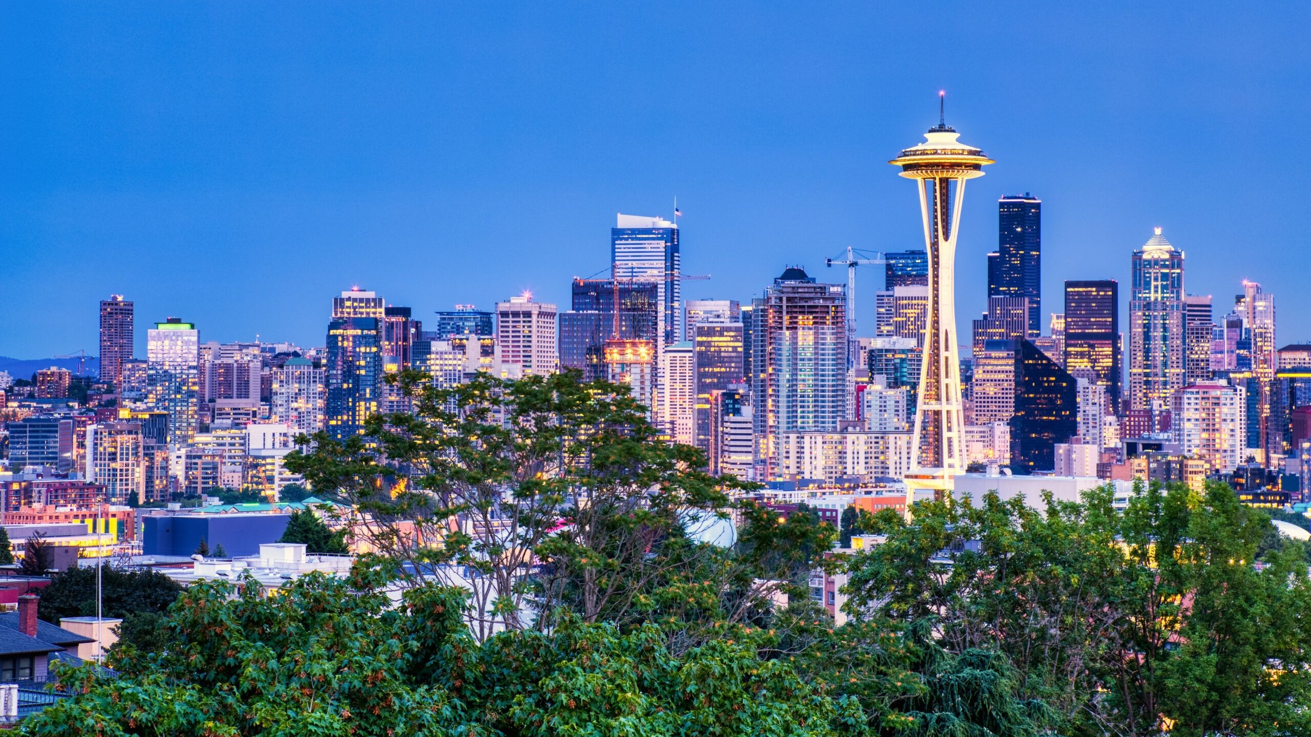 Seattle Skyline, Global connectivity, Atlas network, Worldwide travel, 2560x1440 HD Desktop