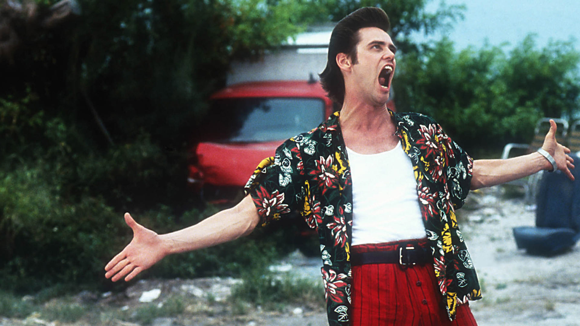 Ace Ventura: Pet Detective, 1994 backdrops, The Movie Database, Film setting, 1920x1080 Full HD Desktop