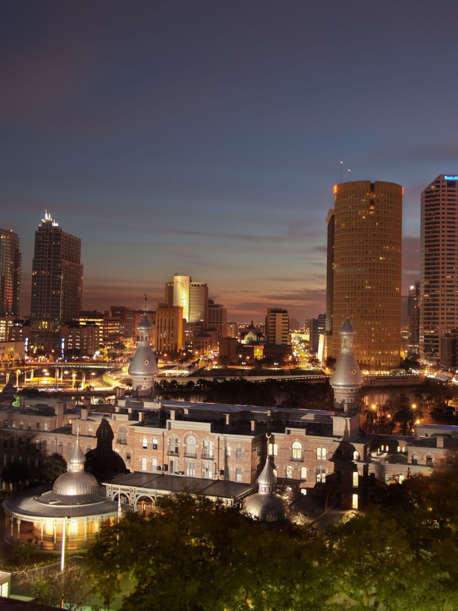 Tampa Skyline, Laptop wallpapers, 1540x2050 HD Phone