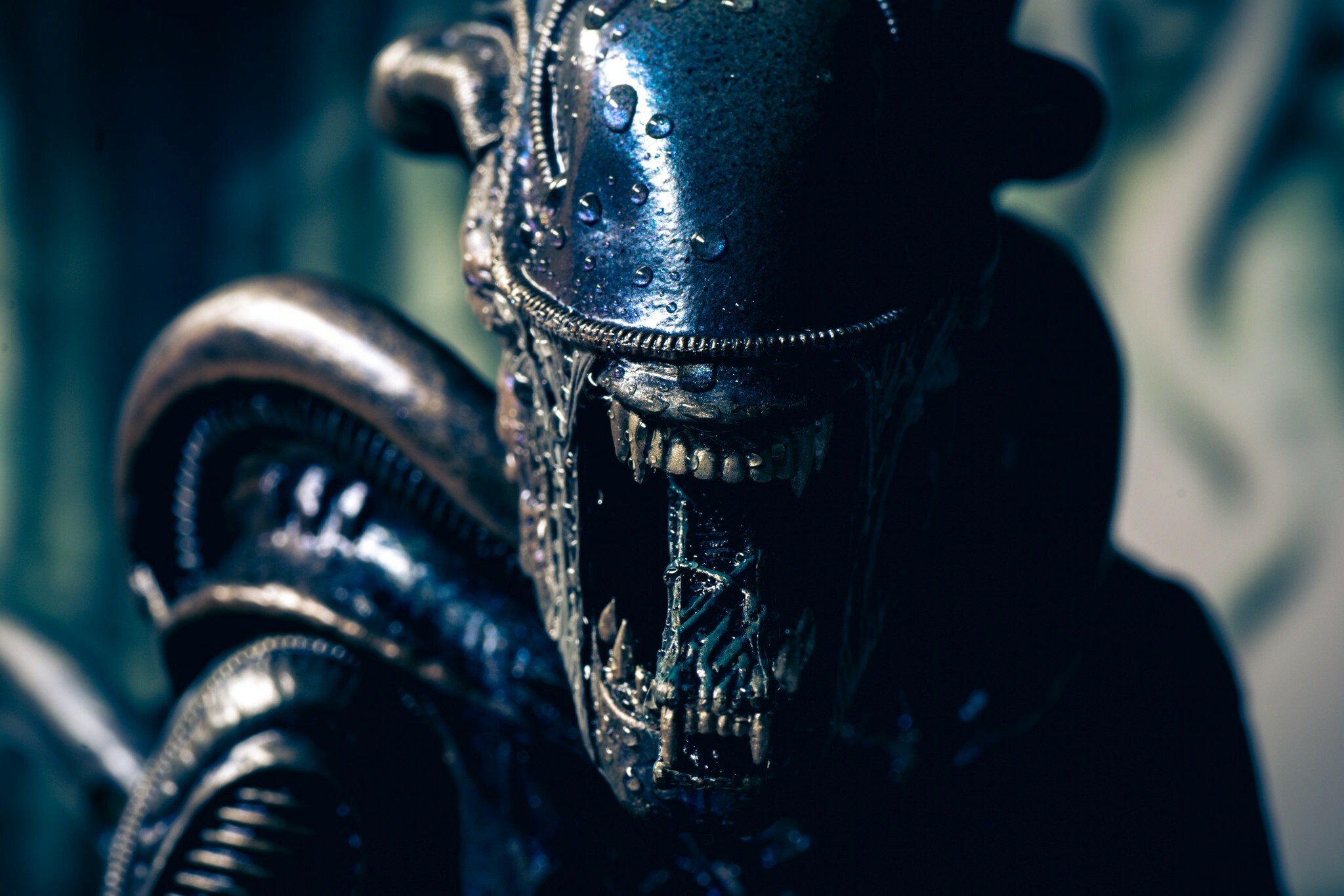 Xenomorph toys, Alien movie wallpaper, Intriguing design, Fearsome creature, 2050x1370 HD Desktop