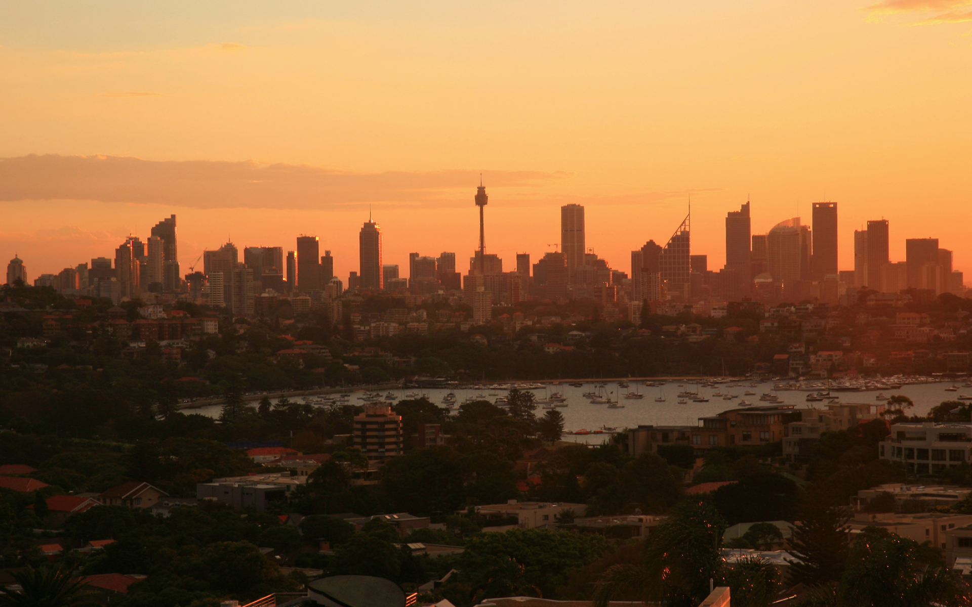 Sydney city desktop, Cityscape view, Vibrant atmosphere, Travels, 1920x1200 HD Desktop