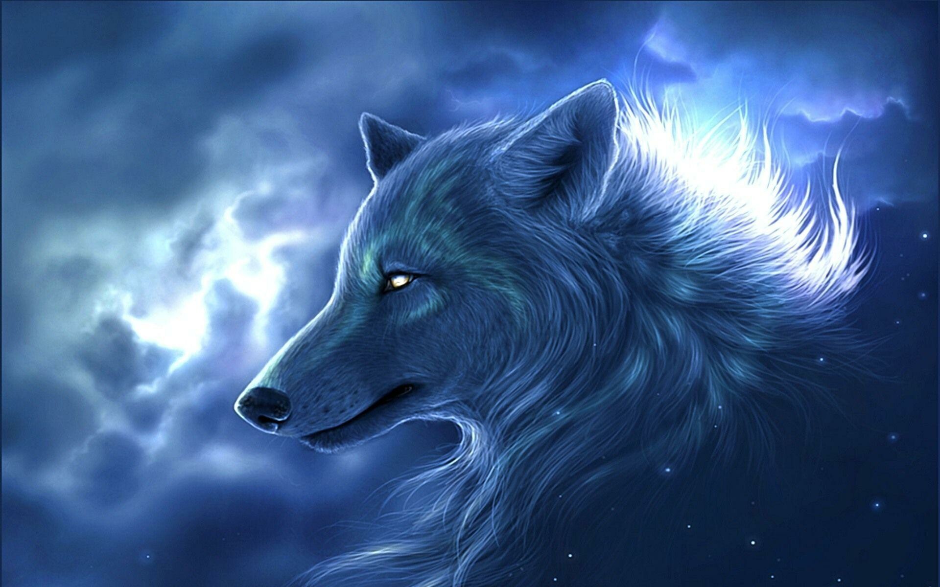 Cool wolf wallpapers, Mysterious creature, Untamed spirit, Enigmatic presence, 1920x1200 HD Desktop