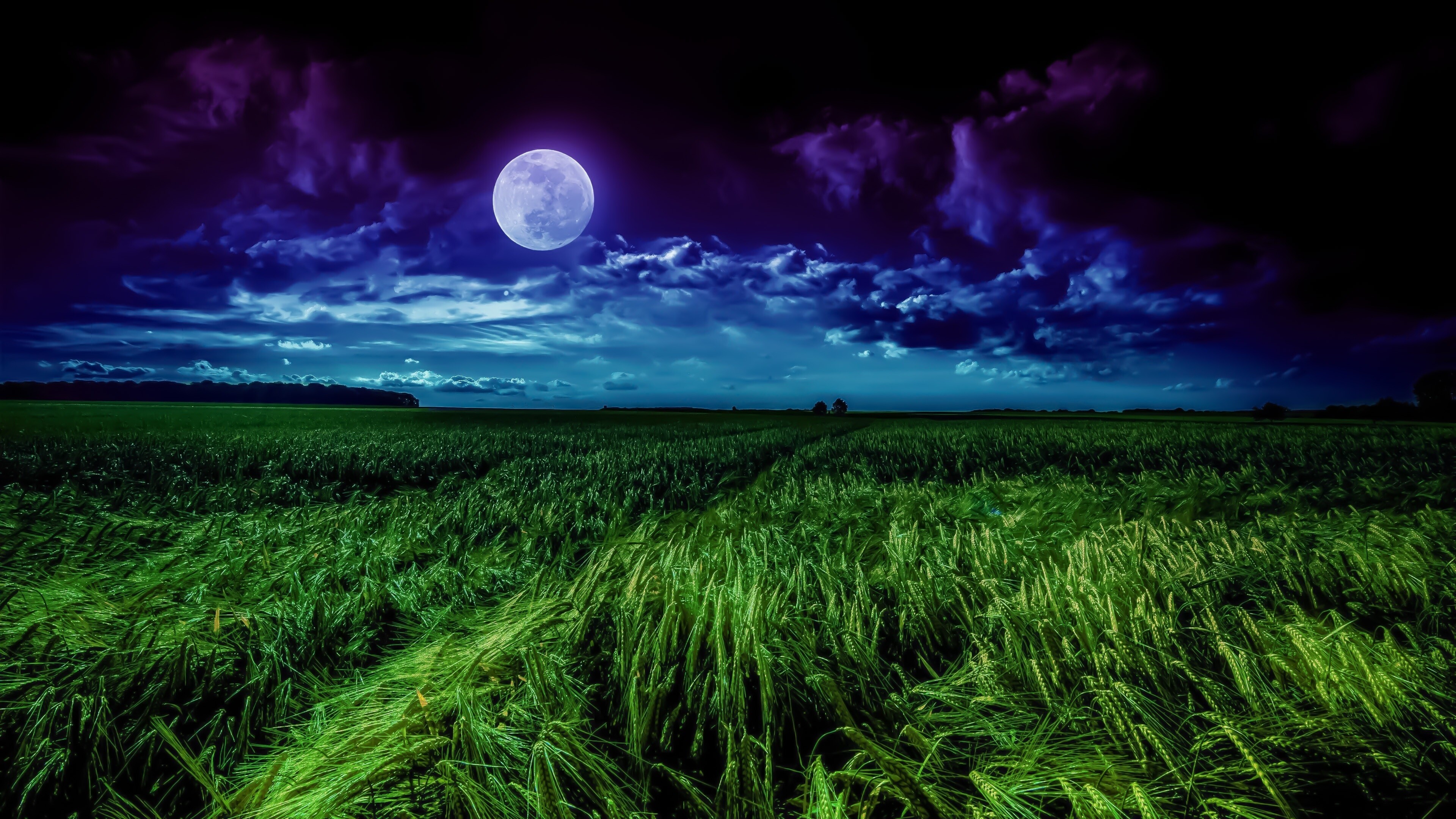 Photoshop grass field, Moonlight resolution, 3840x2160 4K Desktop