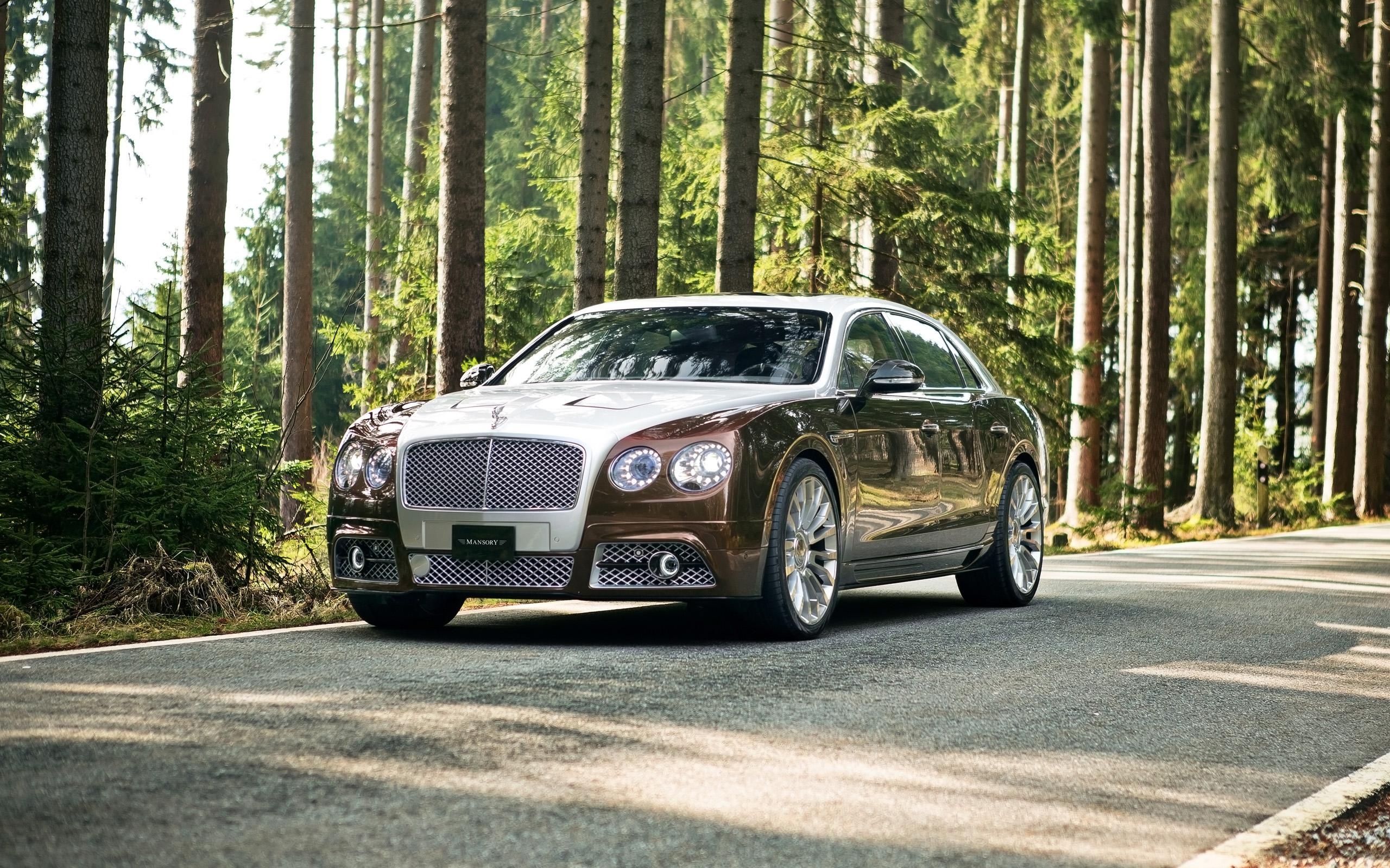 2014 Model, Bentley Flying Spur Wallpaper, 2560x1600 HD Desktop