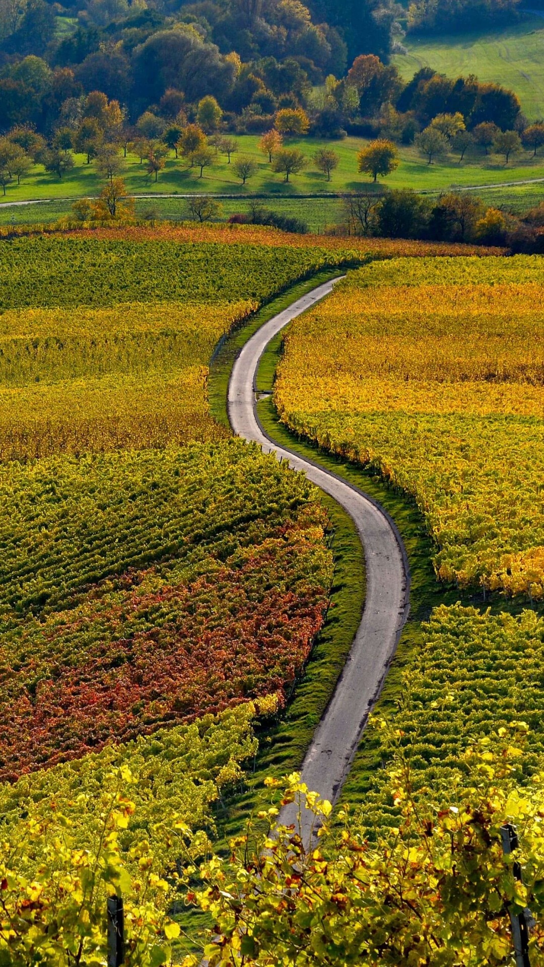 Autumn hill landscape, Oberschwarzach beauty, European travel, 4K wallpaper, 1080x1920 Full HD Phone