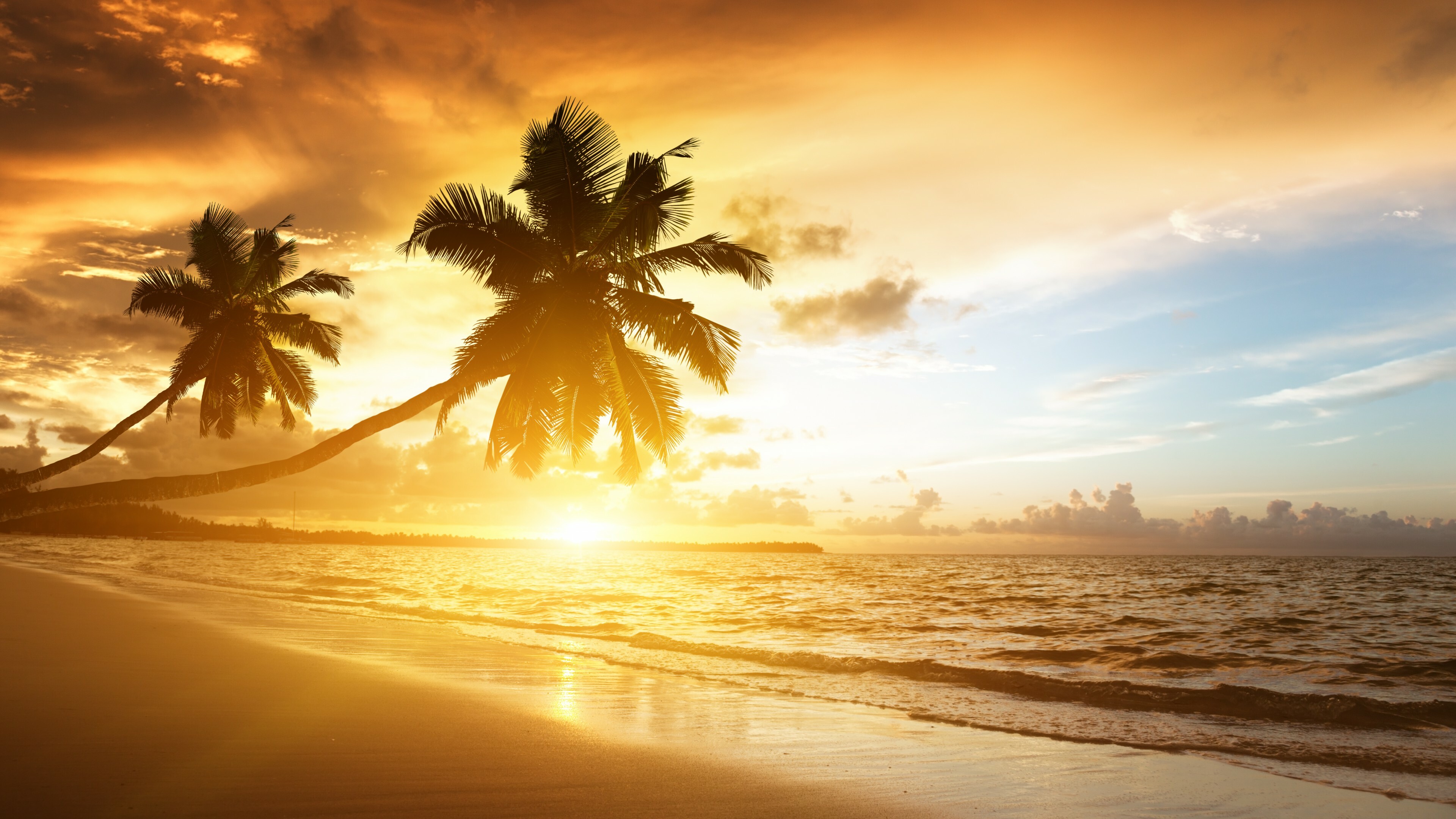 Tropical beach, Ocean sunset, Palm trees, Nature's escape, 3840x2160 4K Desktop