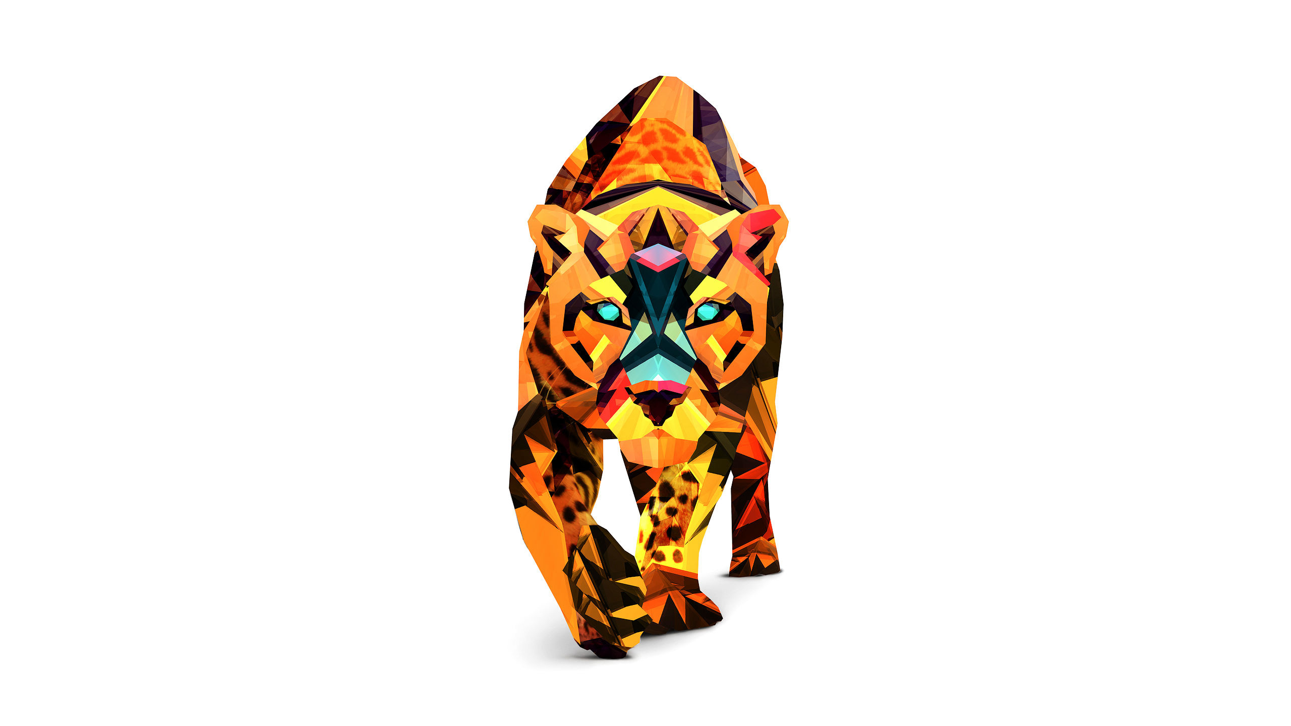 Cheetah, Justin Maller Wallpaper, 2560x1440 HD Desktop