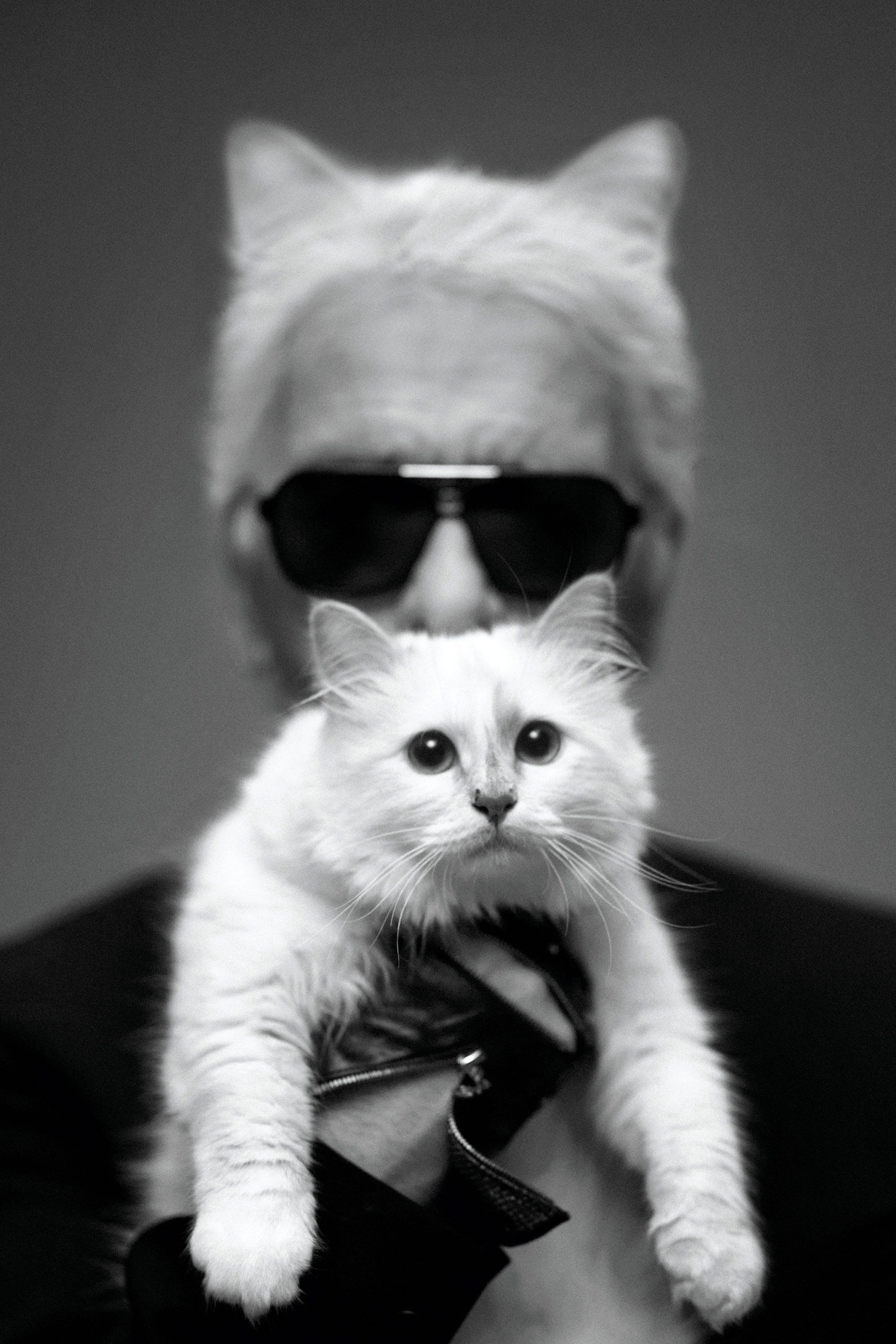 Karl Lagerfeld, Choupette and I, Choupette fashion, Choupette Lagerfeld, 2000x3000 HD Phone