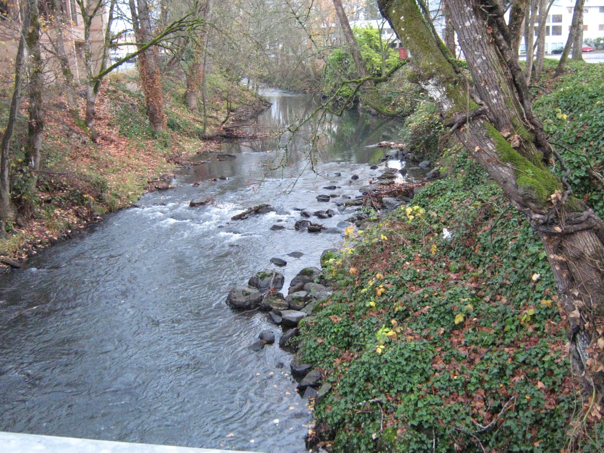 Shelton Ditch, Oregon Wikipedia, Travels, 2050x1540 HD Desktop