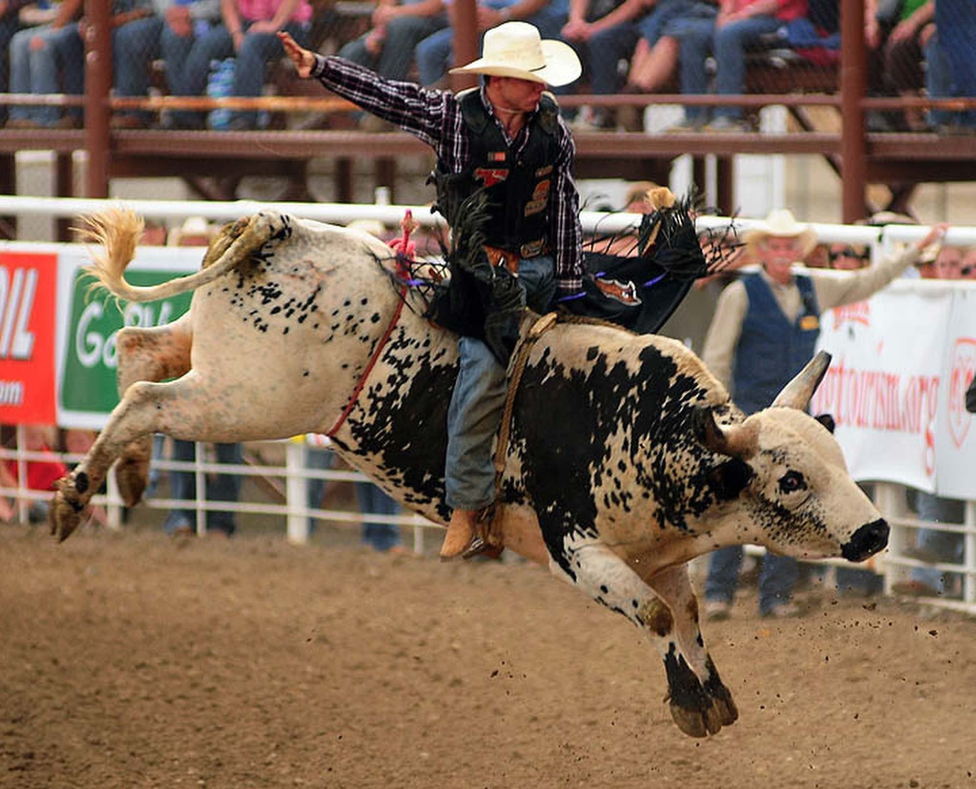 Bull riding, Rodeo, Western cowboy, Extreme cow, 2000x1620 HD Desktop