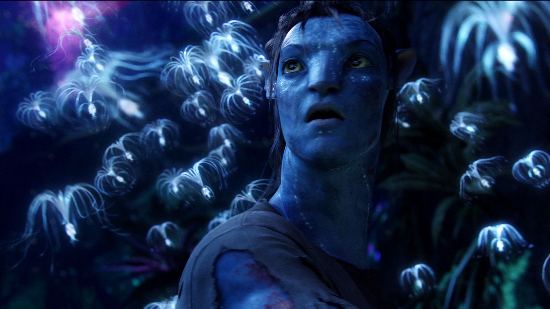 Jake Sully movies, Jake Sully Avatar movie, Jake Sully James Cameron, Jake Sully Avatar, 1920x1080 Full HD Desktop