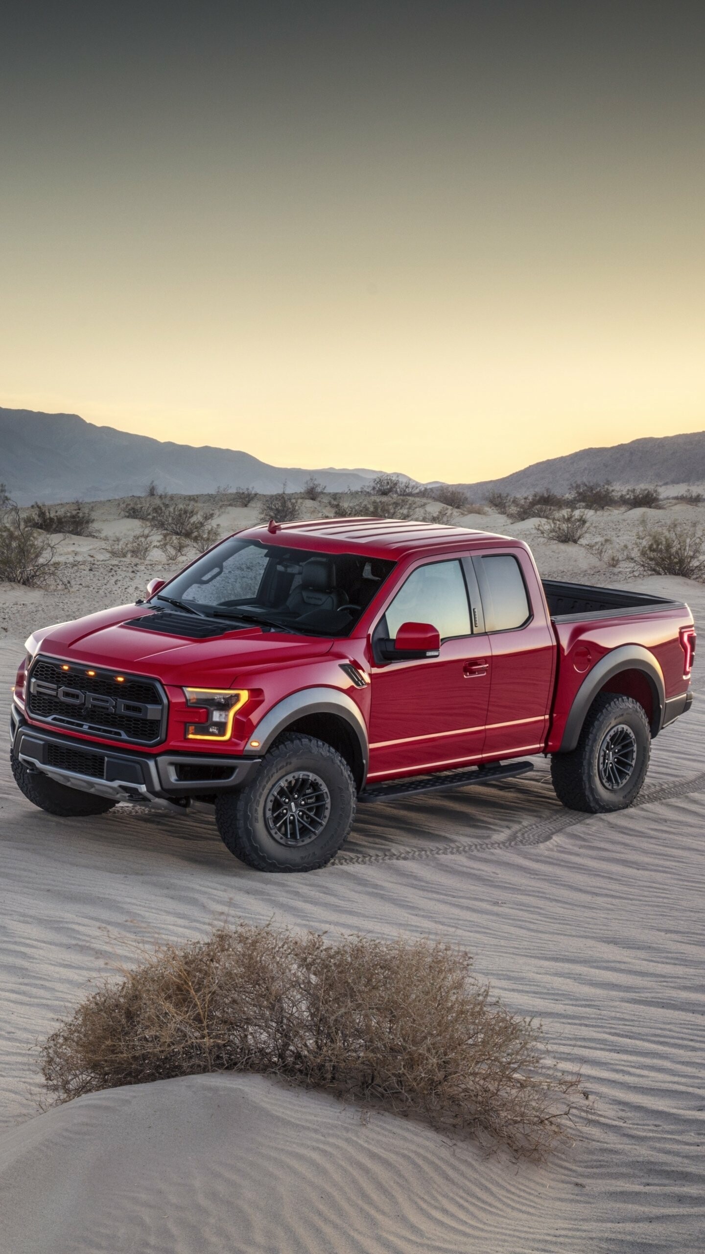 Ford F-150 Raptor, Powerful vehicle, Off-road capabilities, Superior performance, 1440x2560 HD Phone