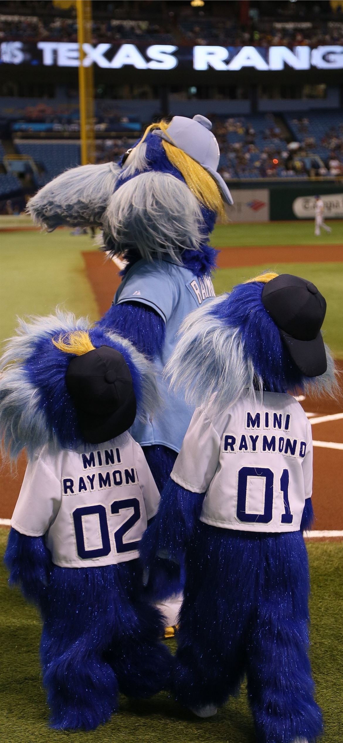 Mascot, Tampa Bay Rays Wallpaper, 1170x2540 HD Phone