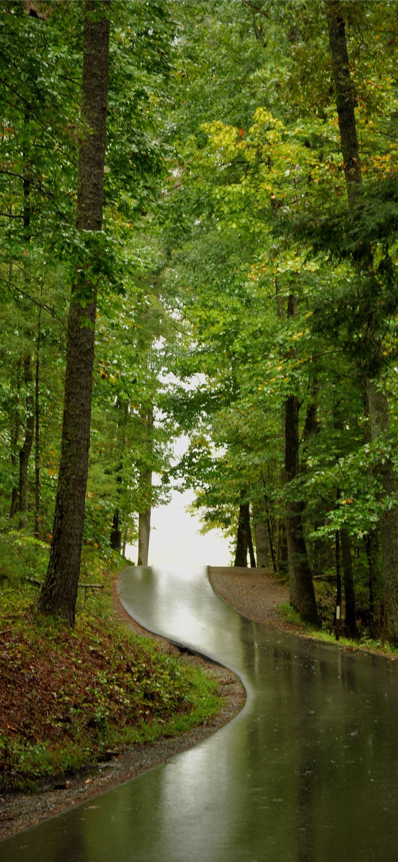 Great Smoky Mountains, National Park, iPhone wallpapers, High definition, 1290x2780 HD Phone