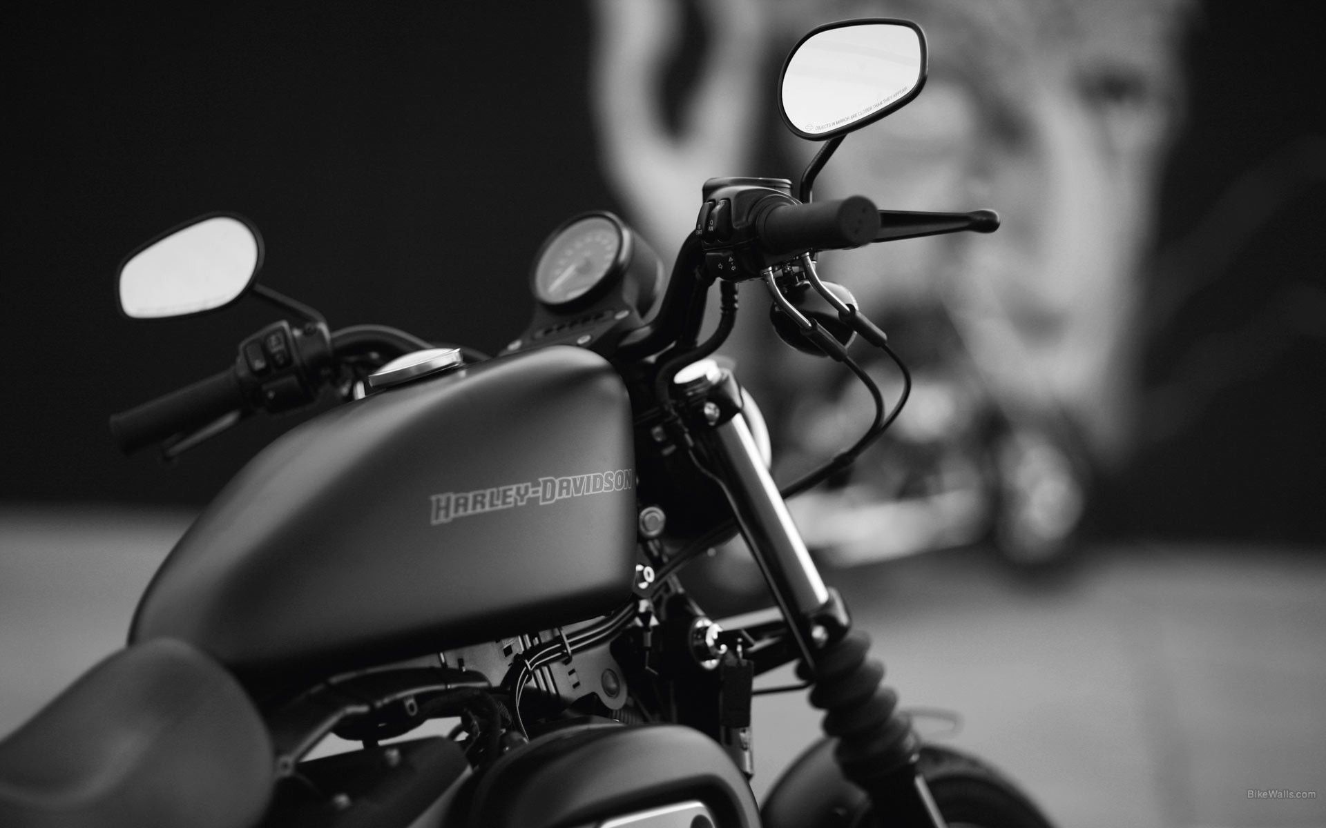 Monochrome, Harley-Davidson Bikes Wallpaper, 1920x1200 HD Desktop