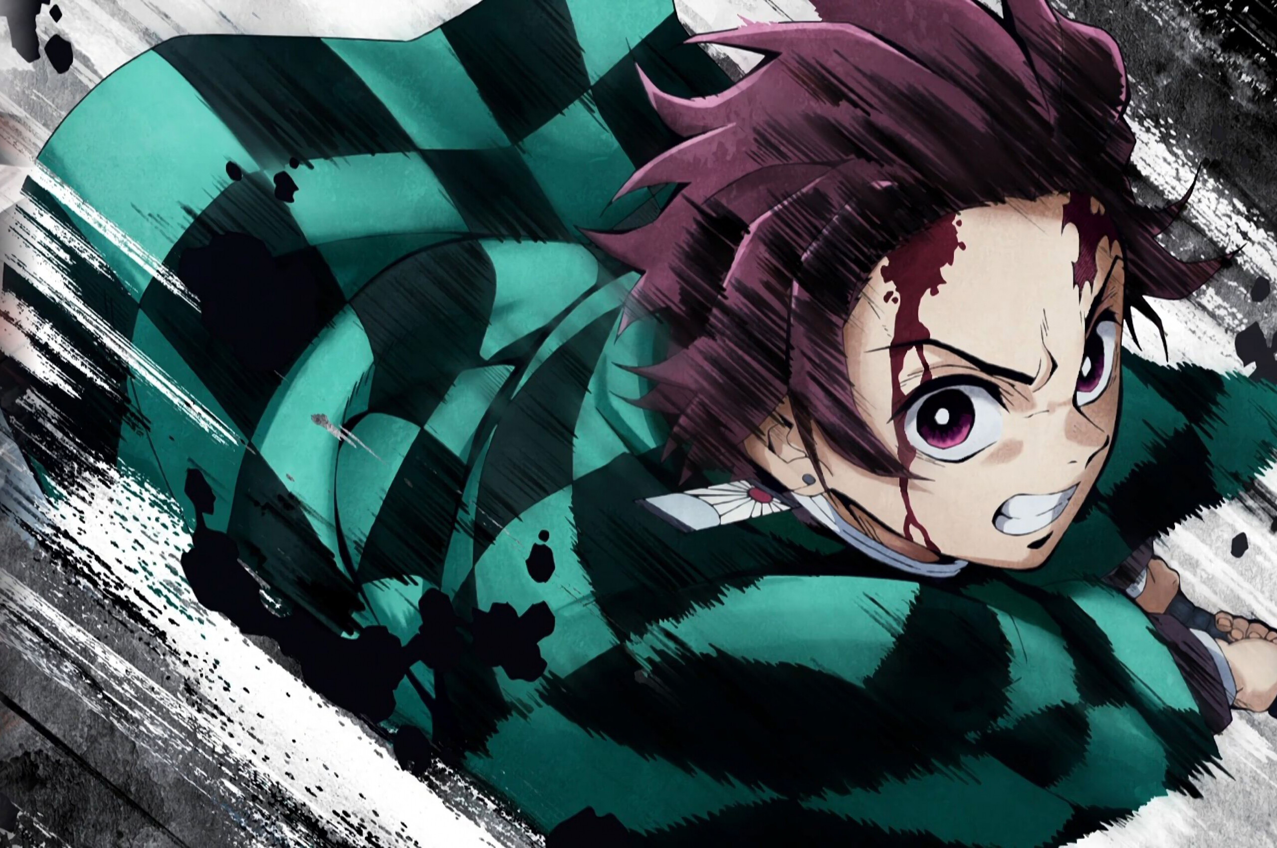 Demon Slayer: Kimetsu no Yaiba, Kimetsu no Yaiba wallpaper, Anime girl, 2560x1700 HD Desktop